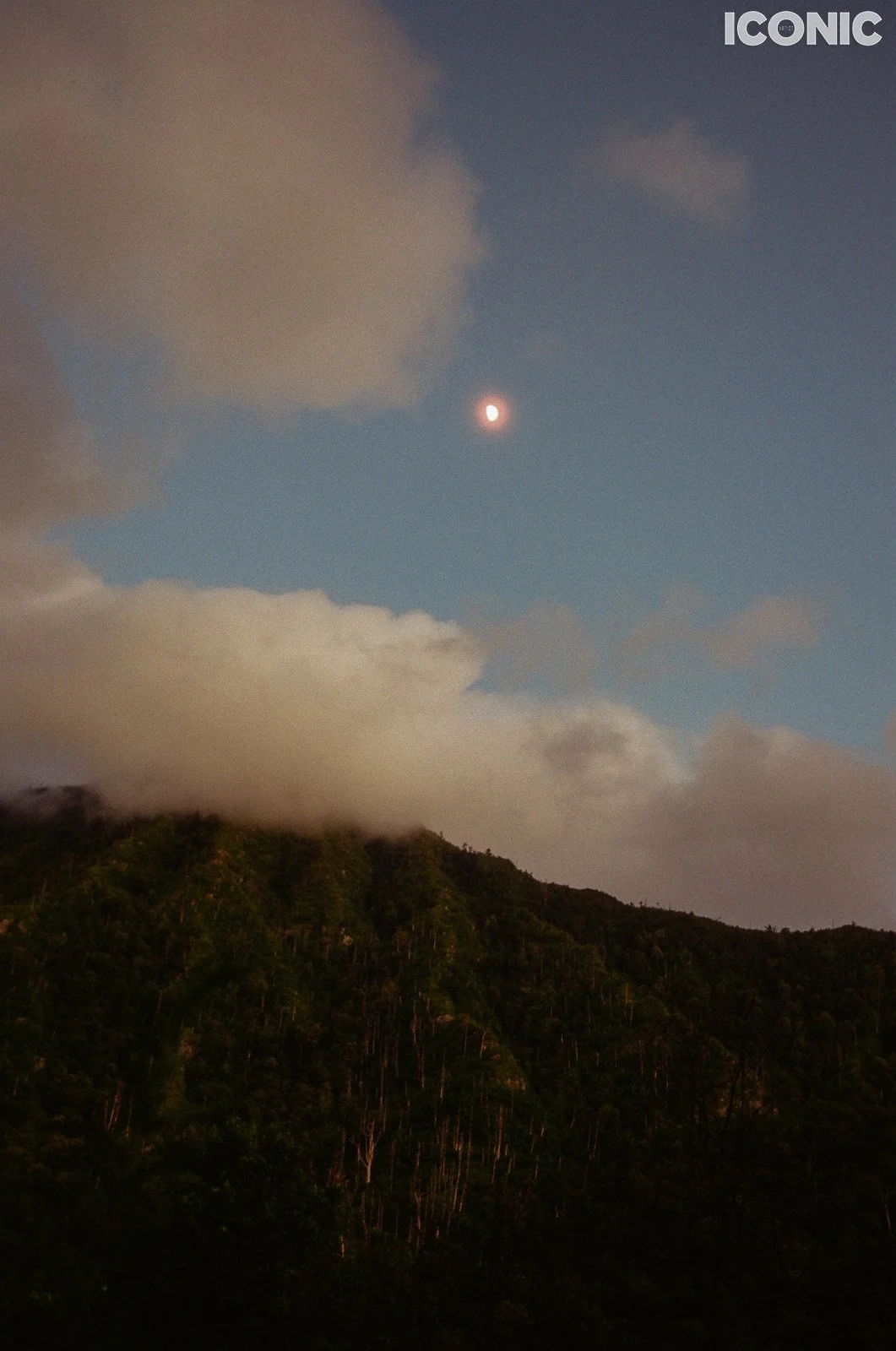 PHOTO BY
Anna Leonidov
.
