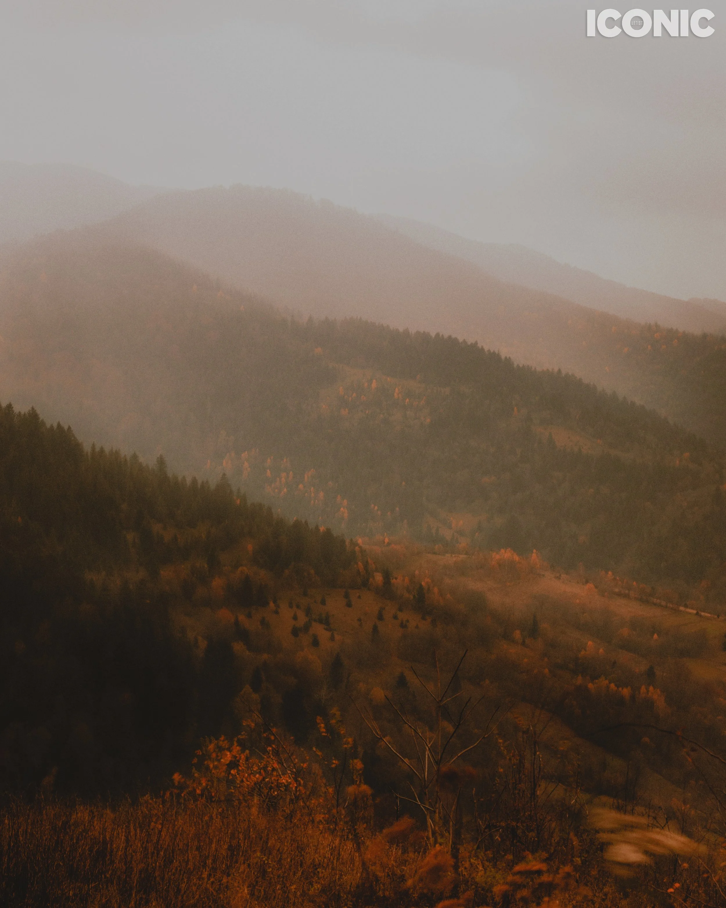 PHOTO BY
Tanya Yerko
.