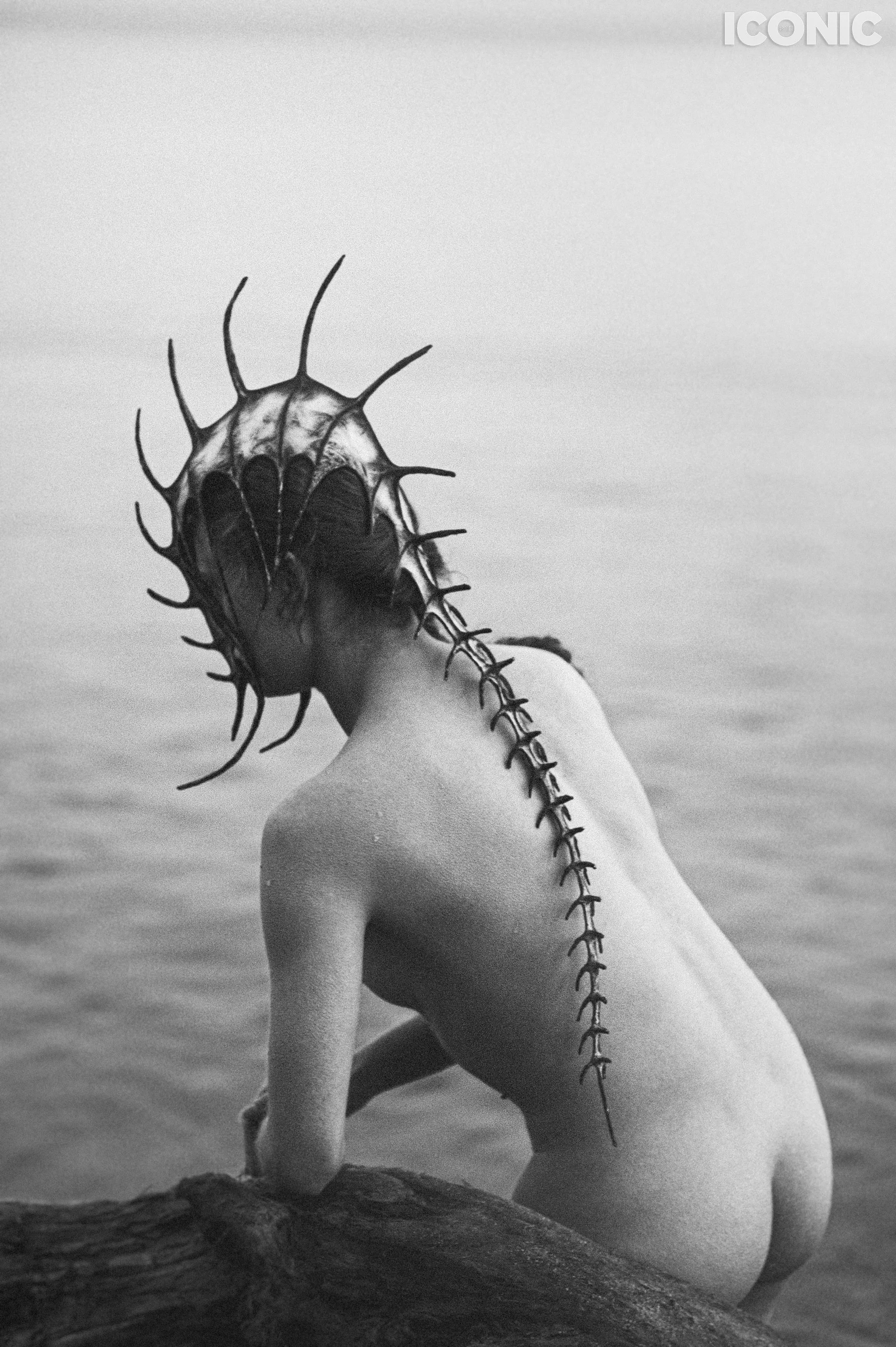 PHOTO BY
Piotr Cierniak
.