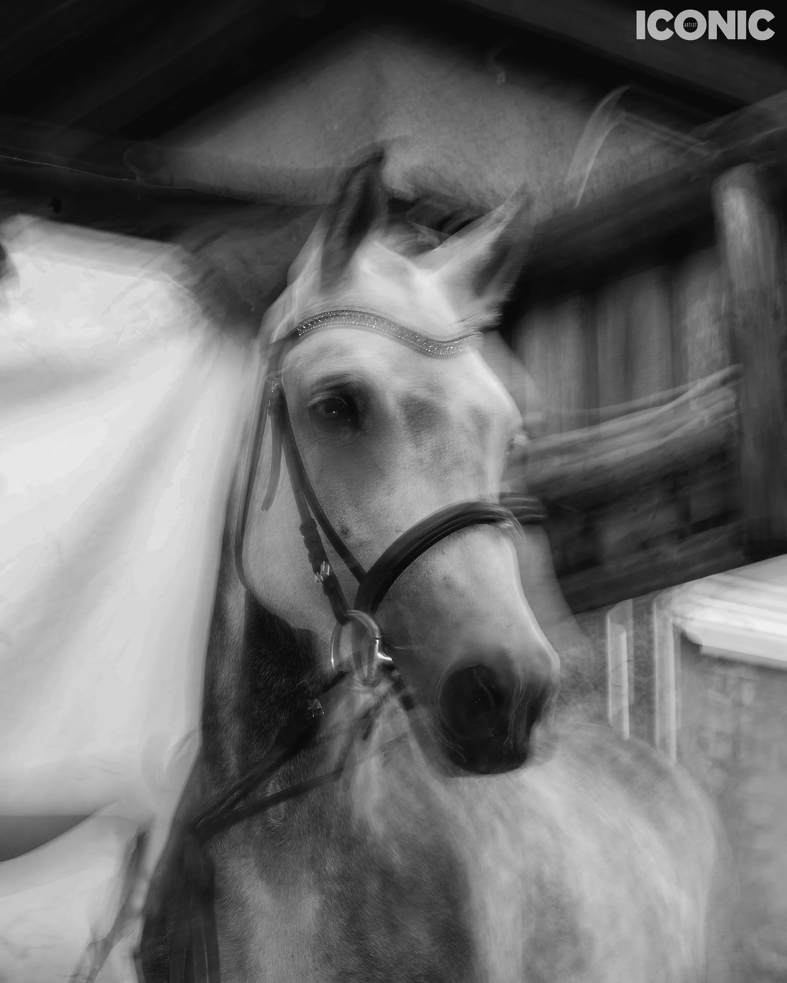 PHOTO BY
Marina Kislitsyna
.