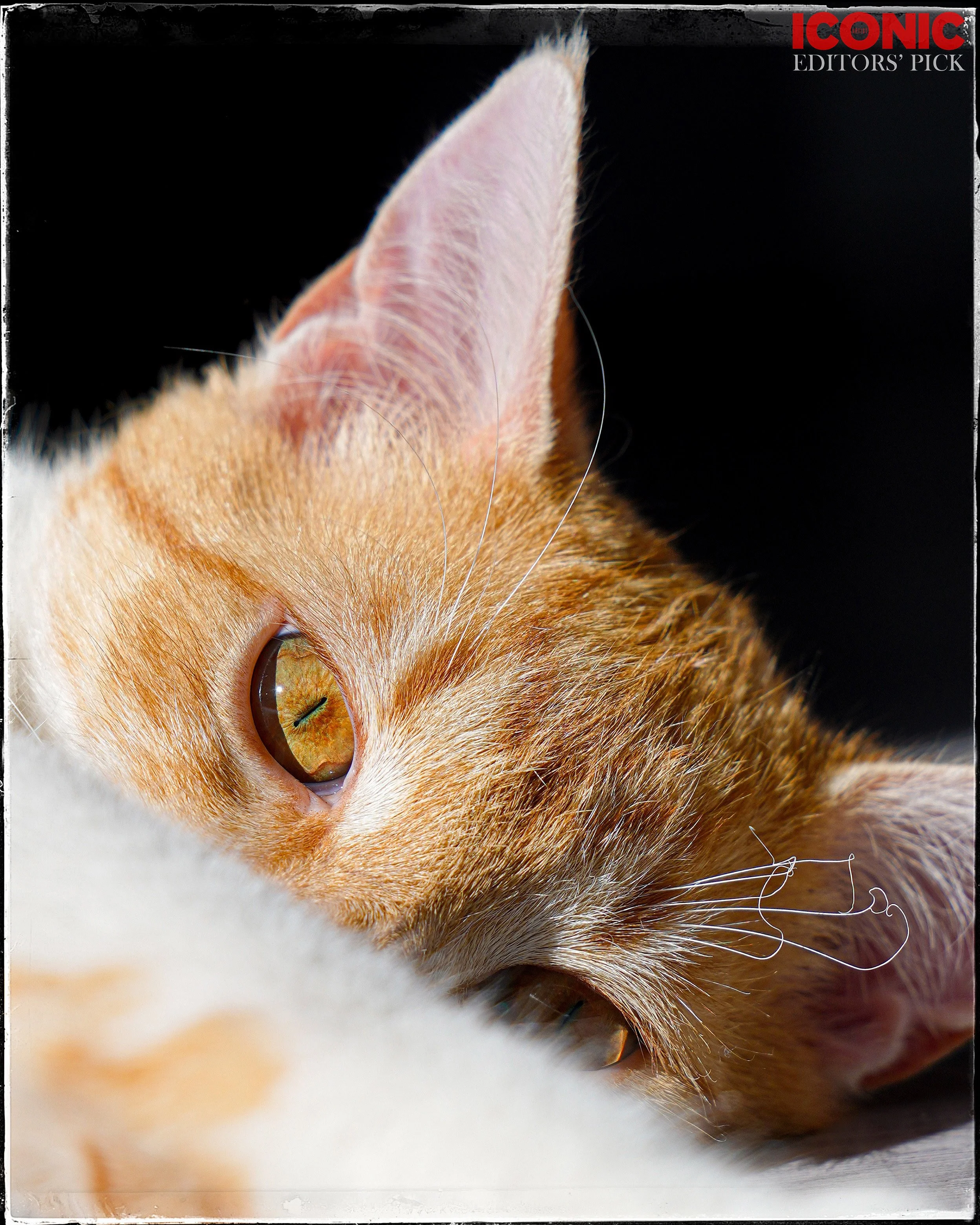 PHOTO BY
Nataliia Glynova
.