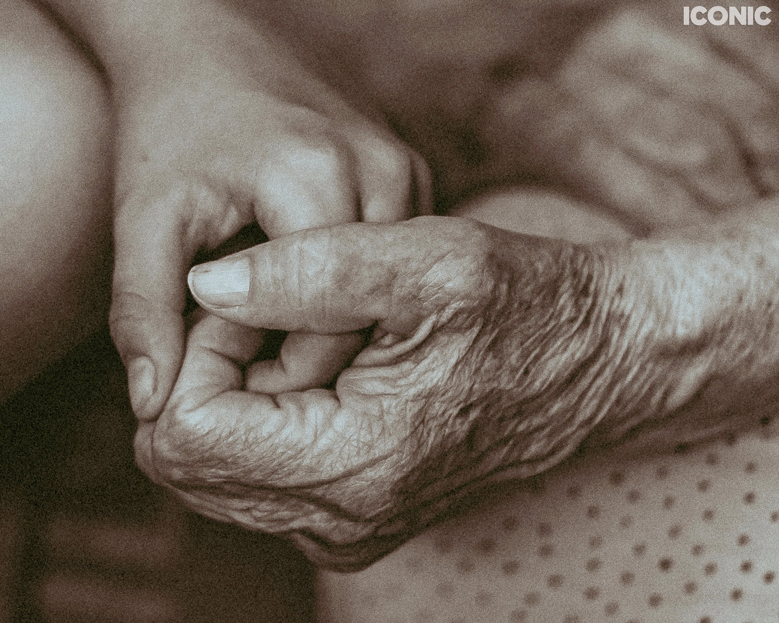 PHOTO BY
Ksenia Mirnaya
.