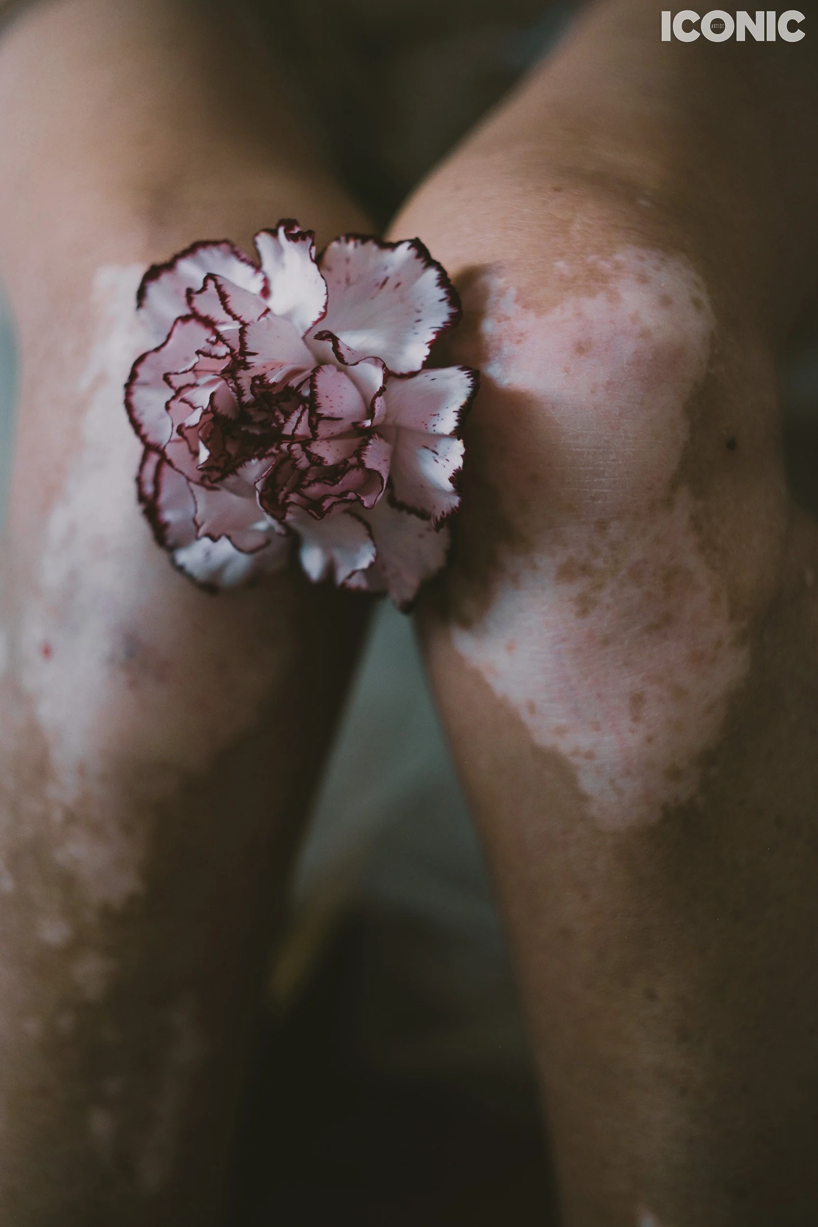 PHOTO BY
Marialuisa Paciolla
.