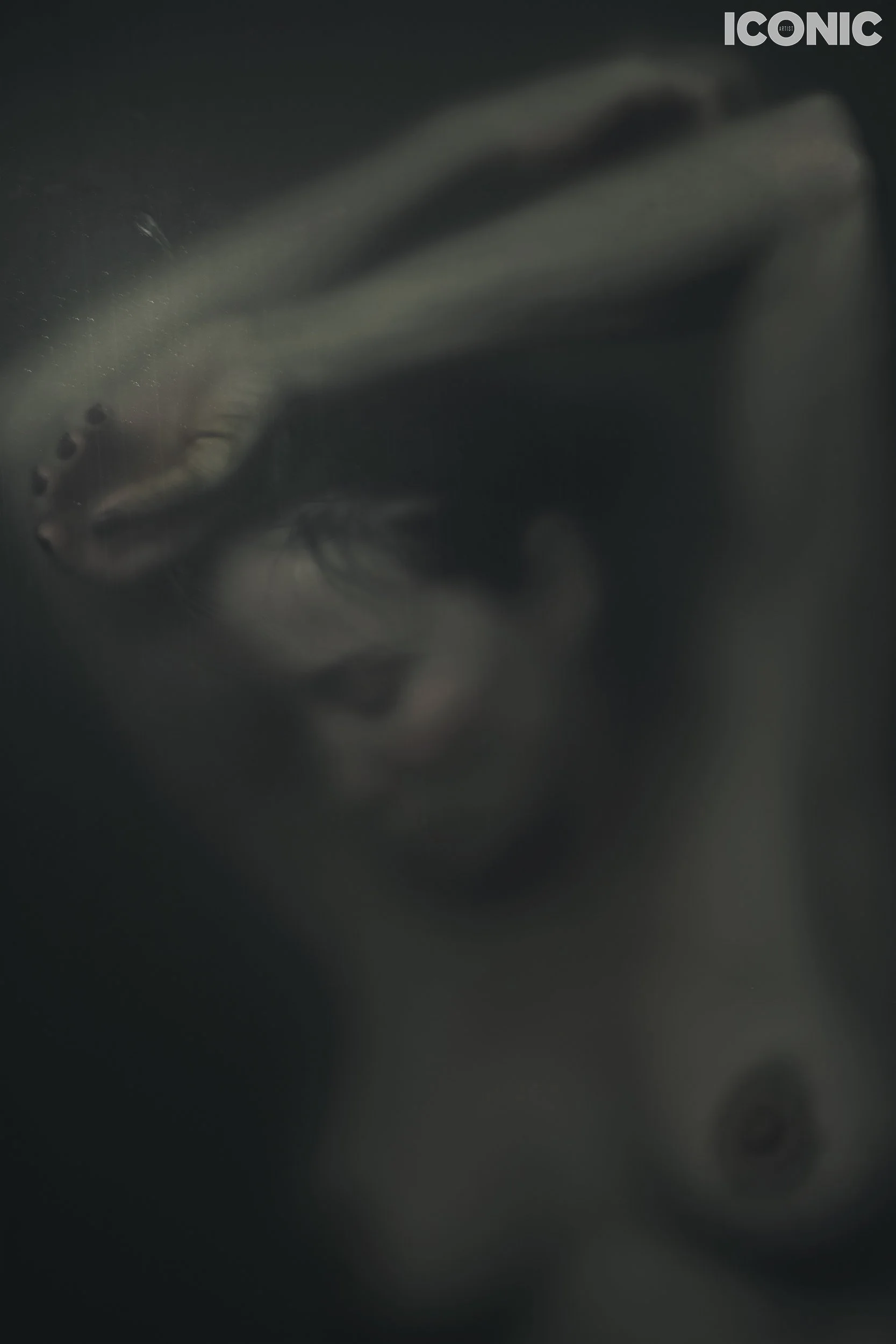 PHOTO BY
Svetlana David
.