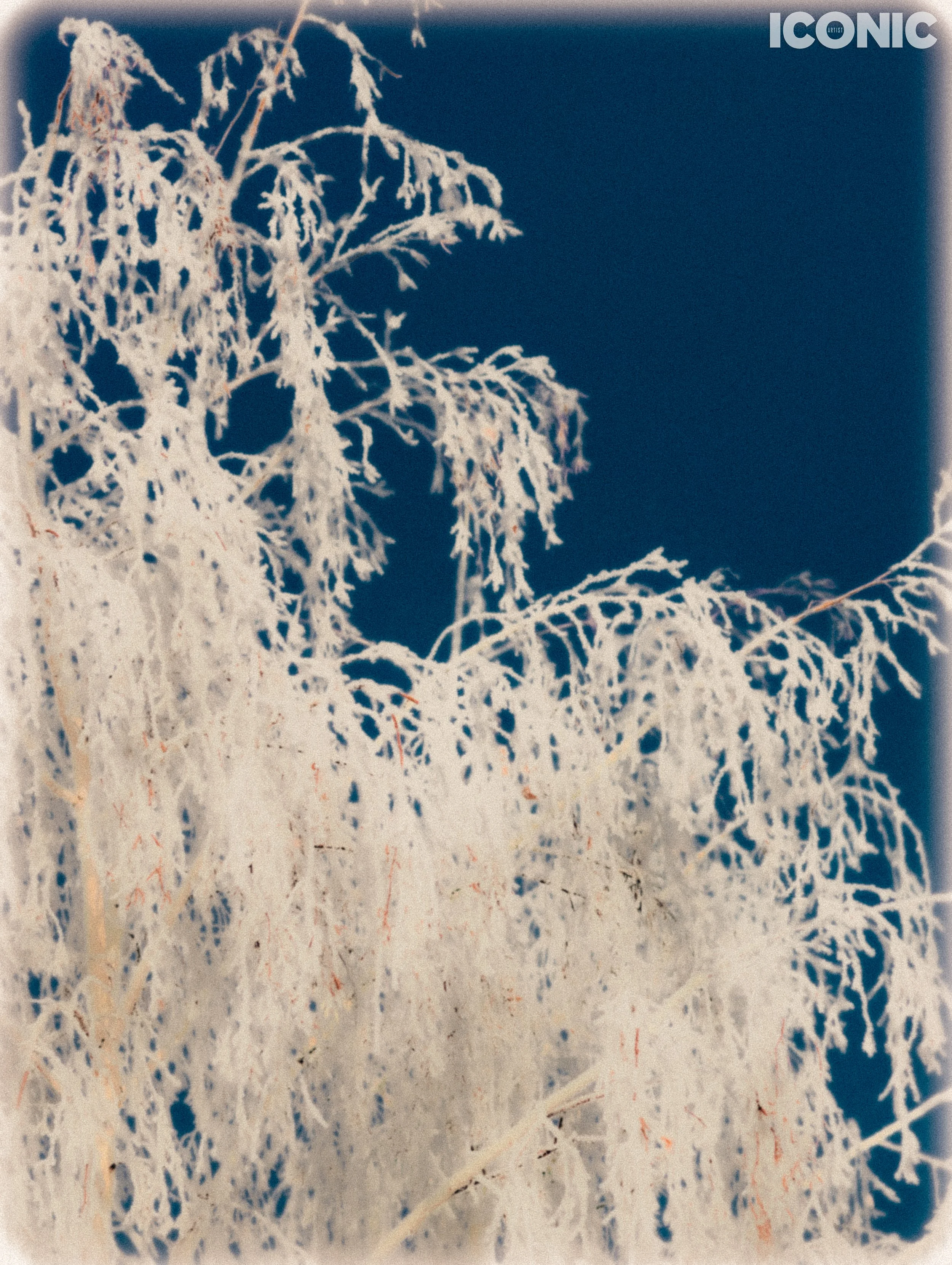 PHOTO BY
Zarina Jassybayeva
.