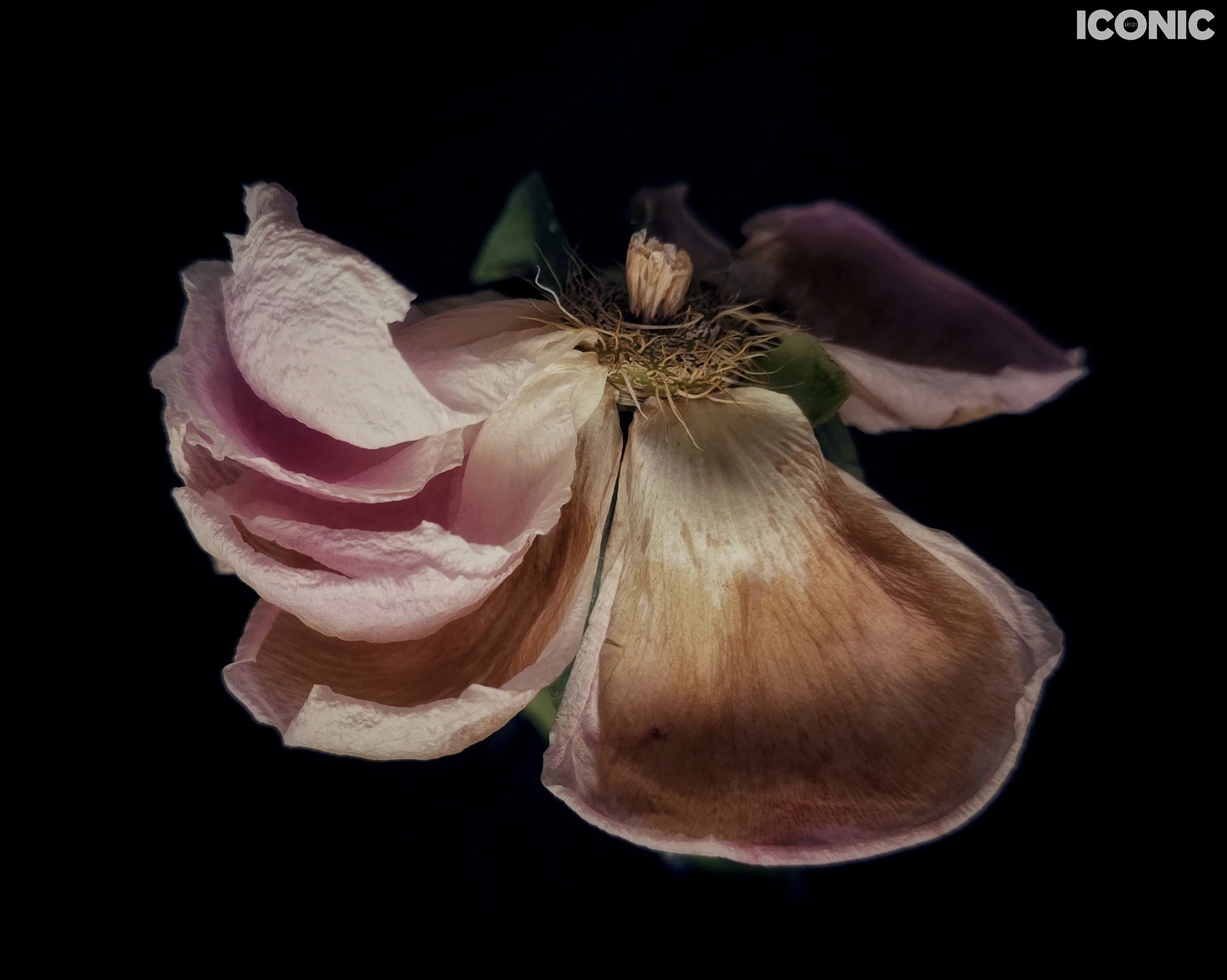 PHOTO BY
Aleksandra Kropivka
.