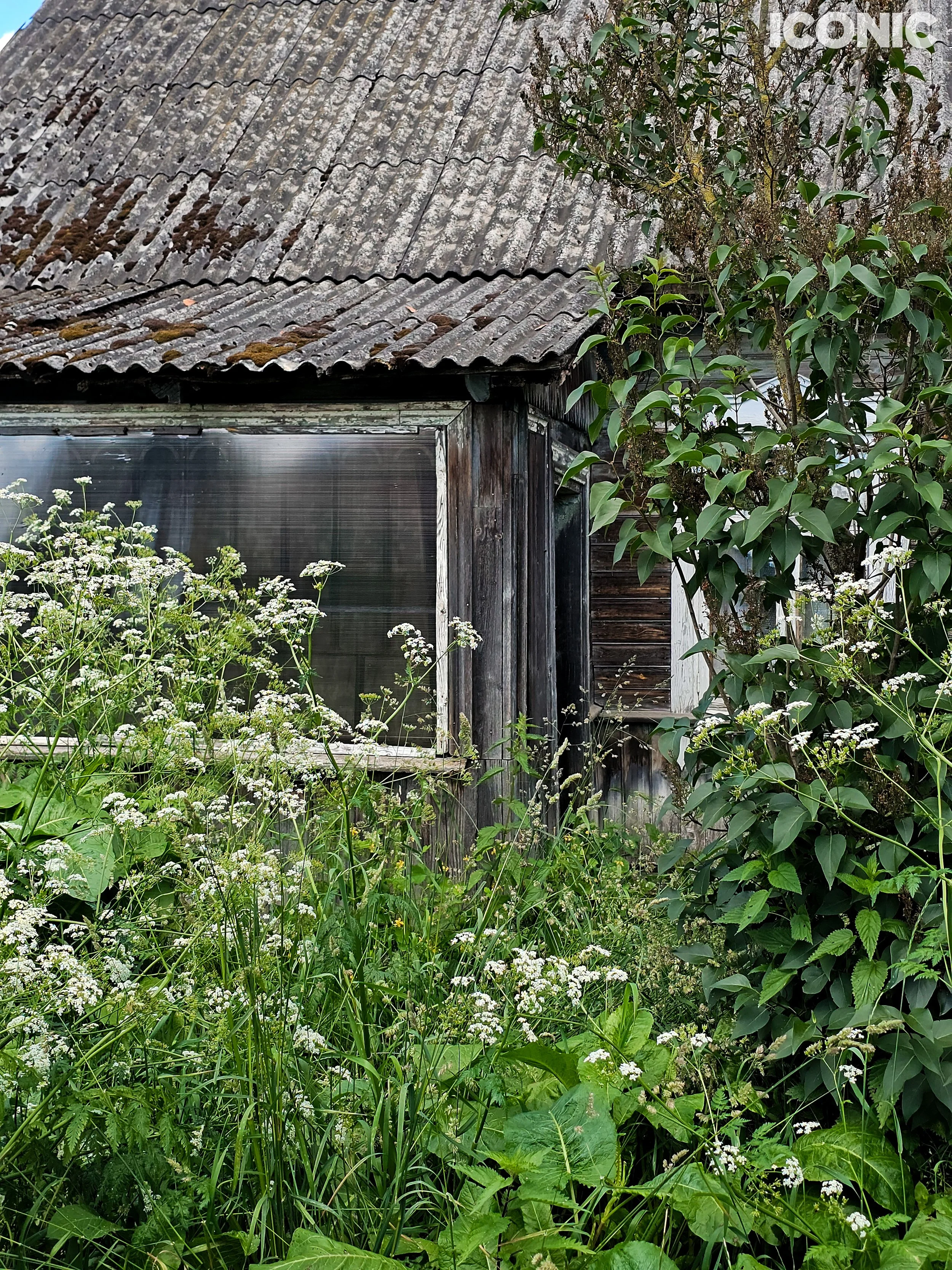 PHOTO BY
Olga Shishuk
.