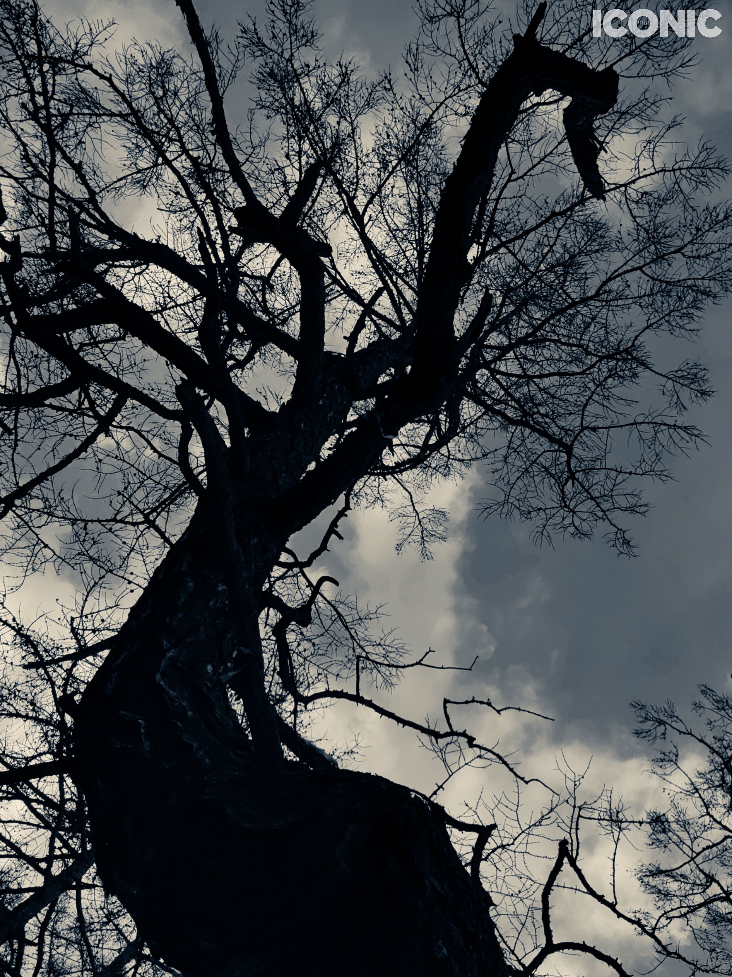 PHOTO BY
Olga Tretyakova
_