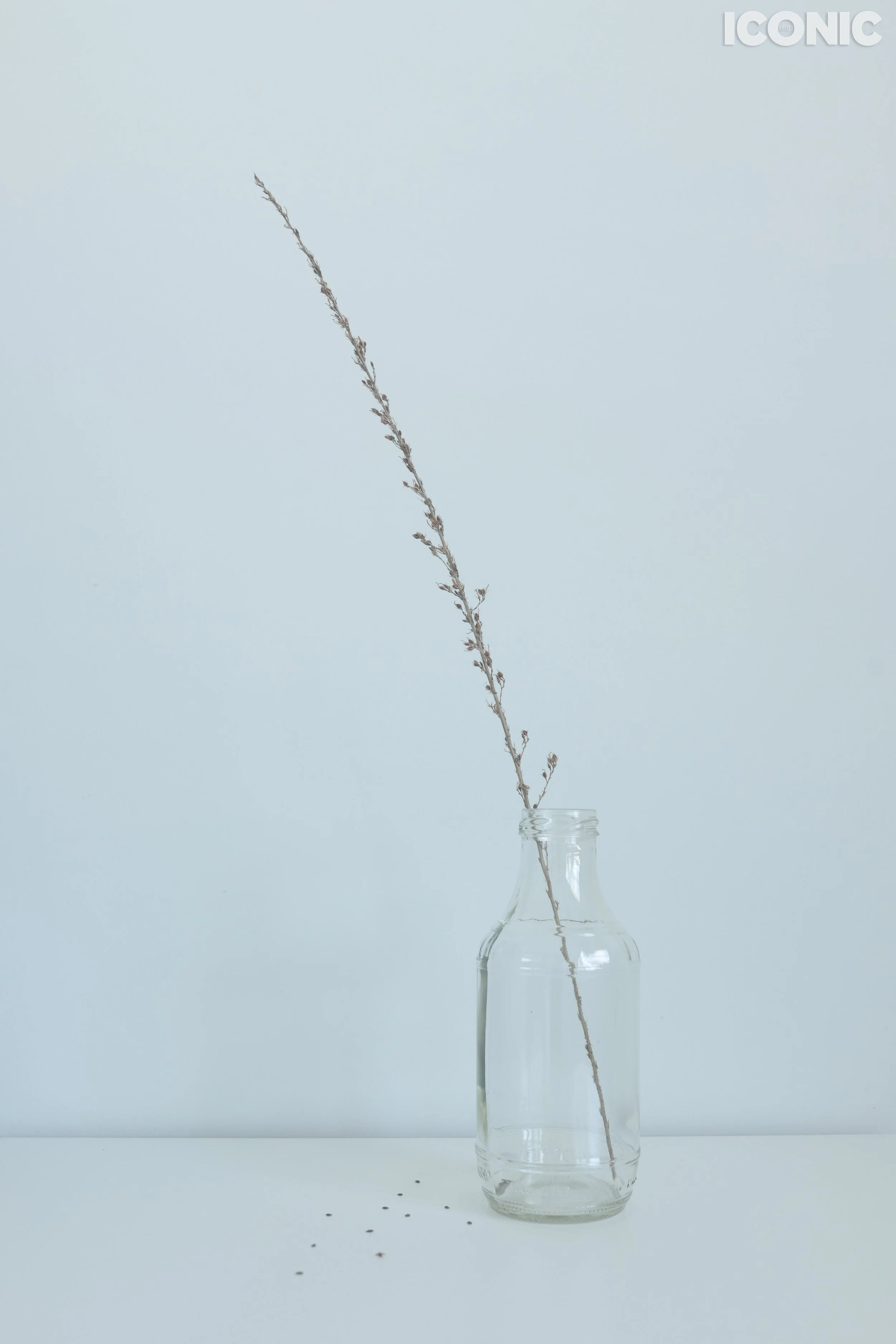 PHOTO BY
Volha Kichkaila
.