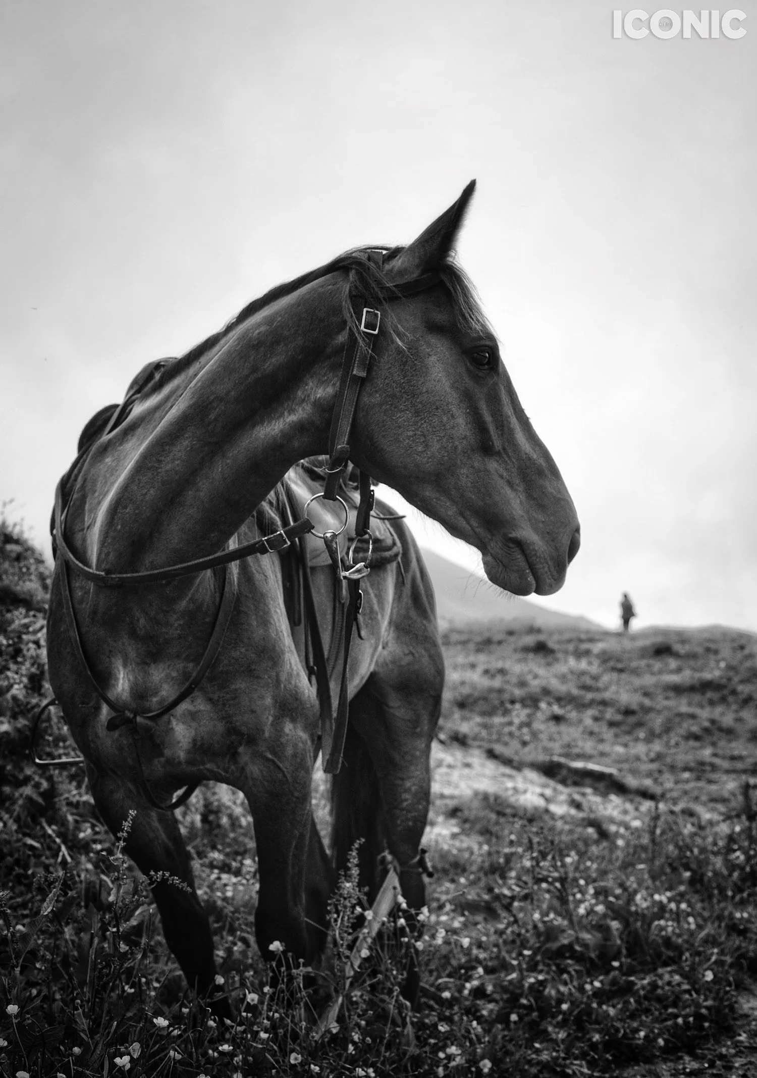 PHOTO BY
Ludmila Evstratova
_