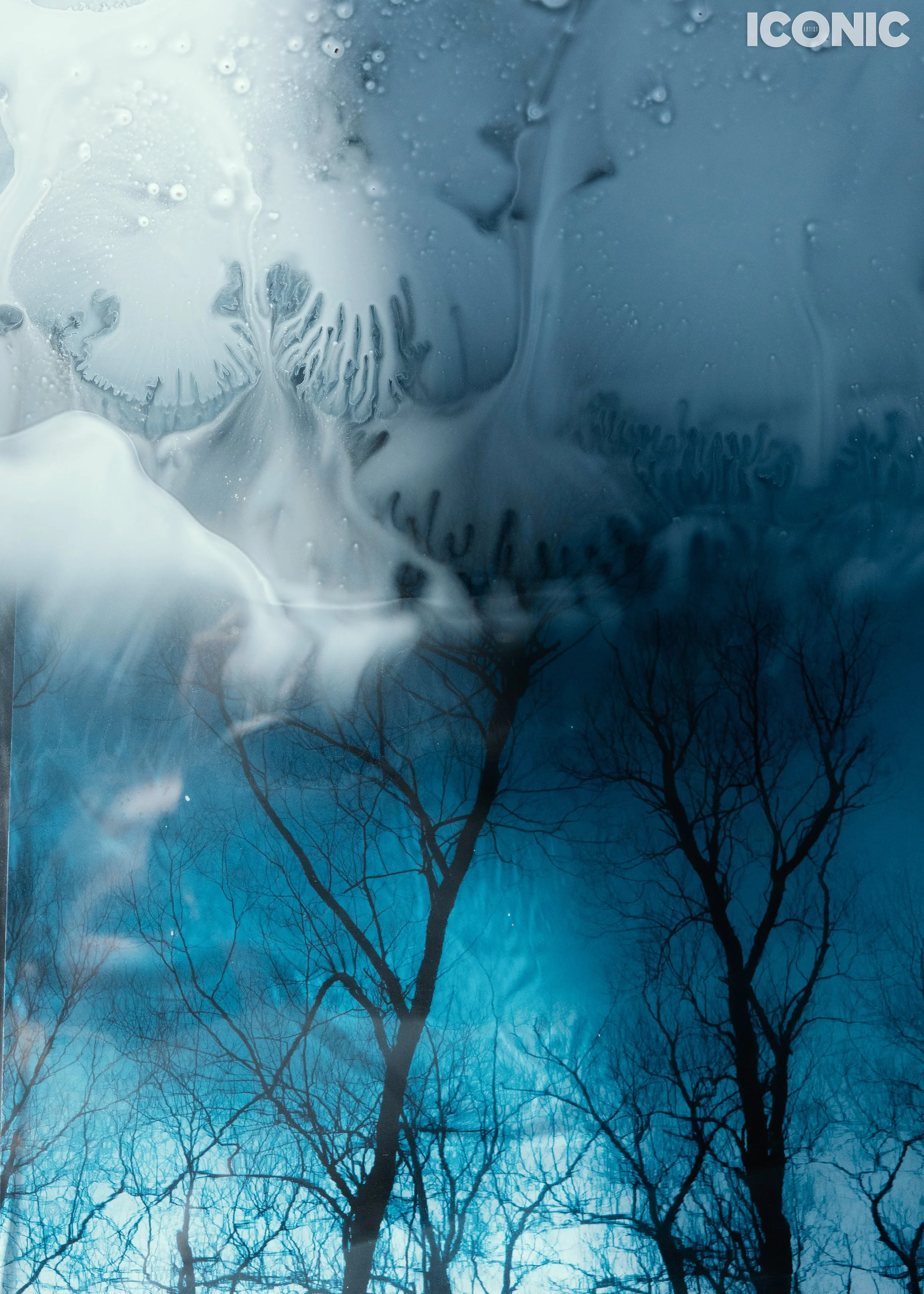 PHOTO BY
Polina Kalashnikova
.