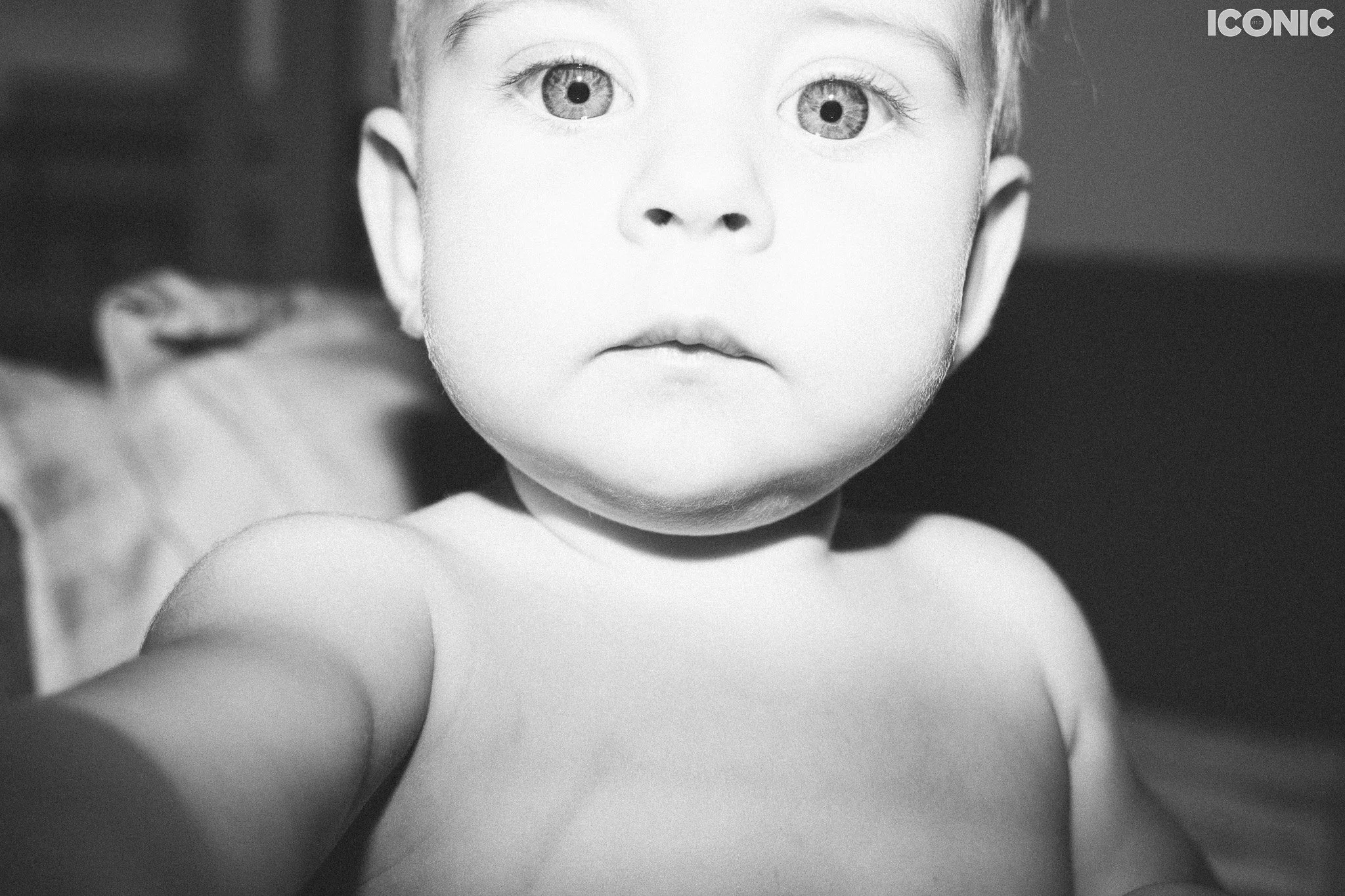 PHOTO BY
Tetiana Prykhodko
.