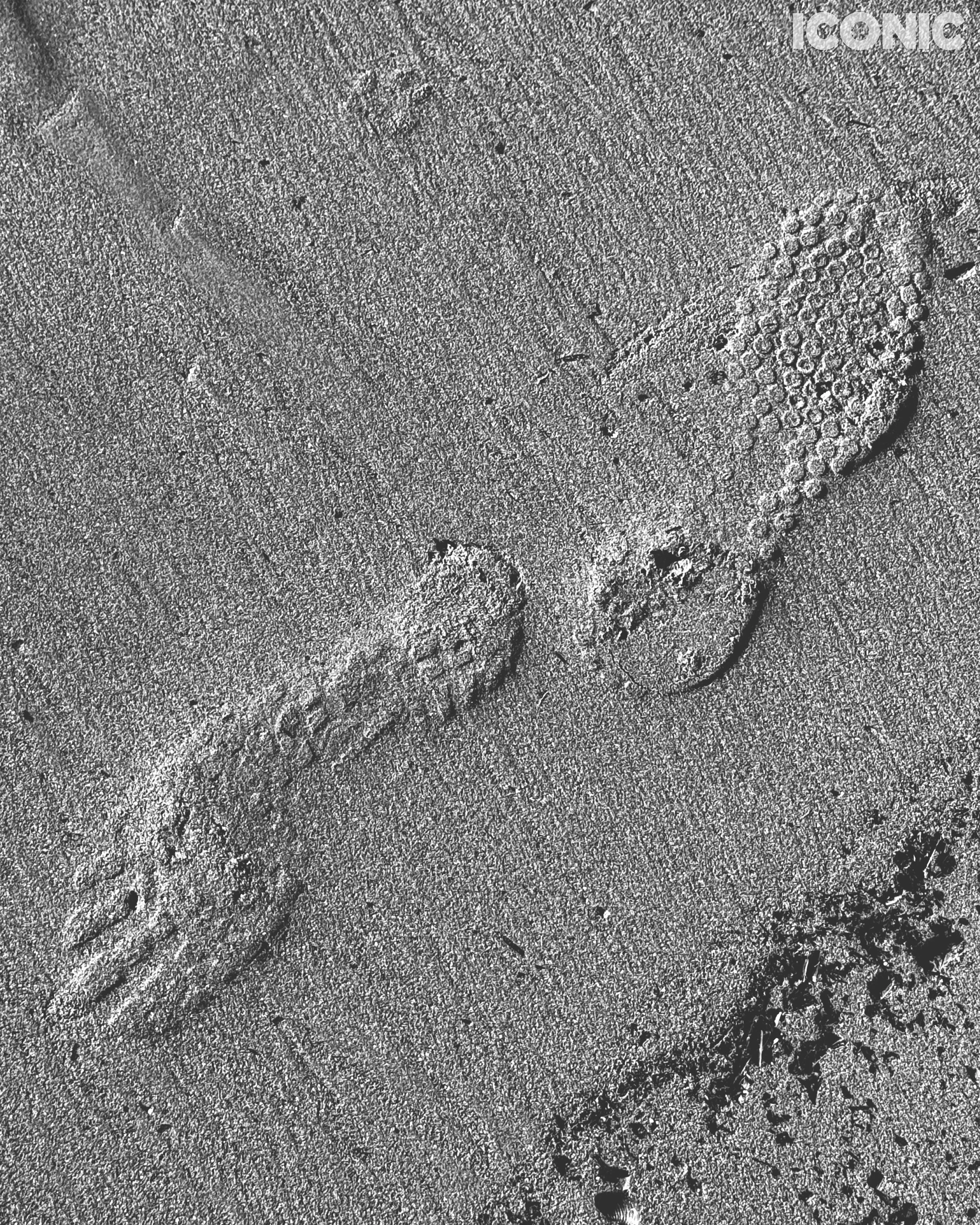 PHOTO BY
Daria Eipert
.