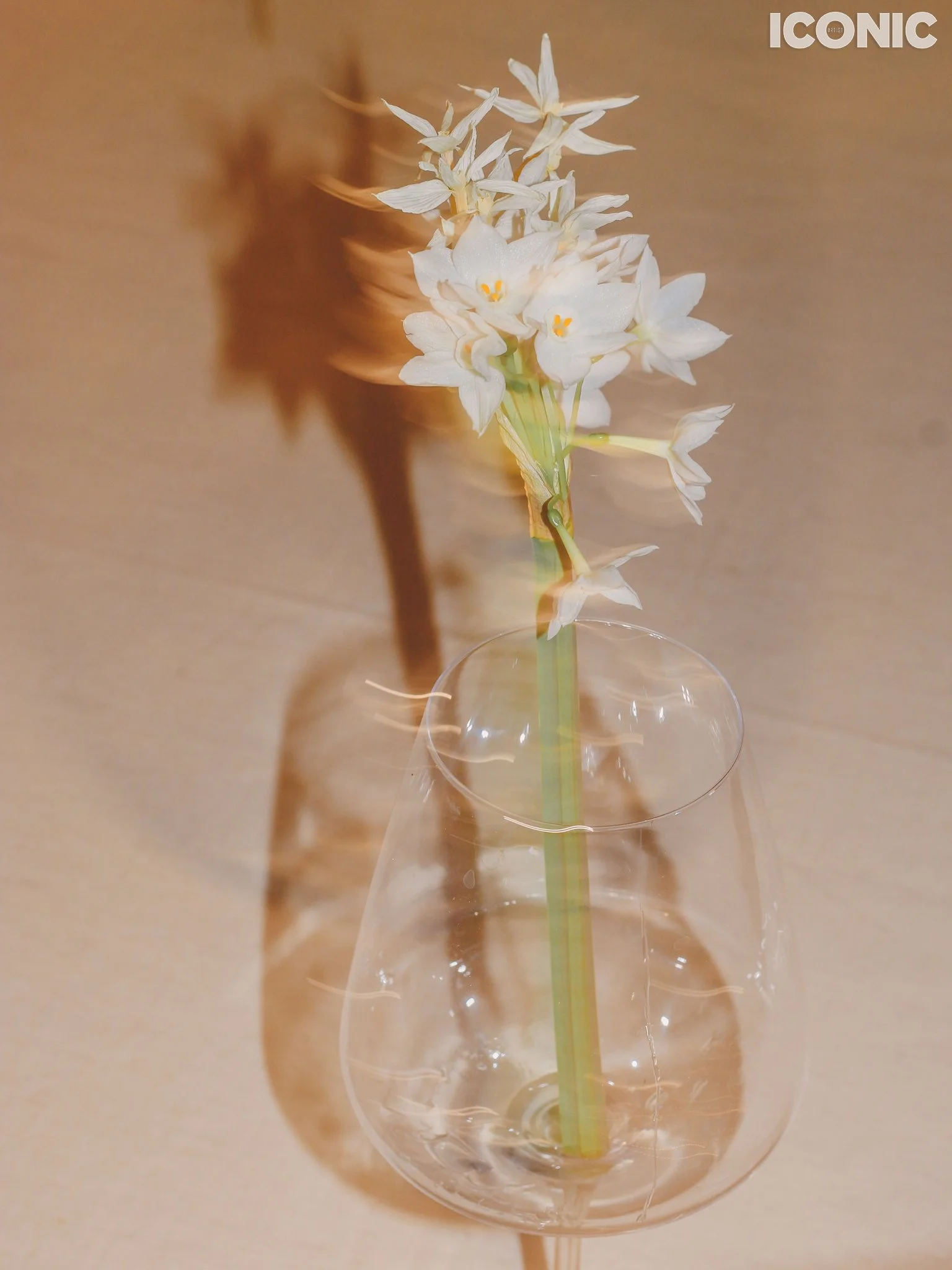 PHOTO BY
Alexandra Sergeeva
.