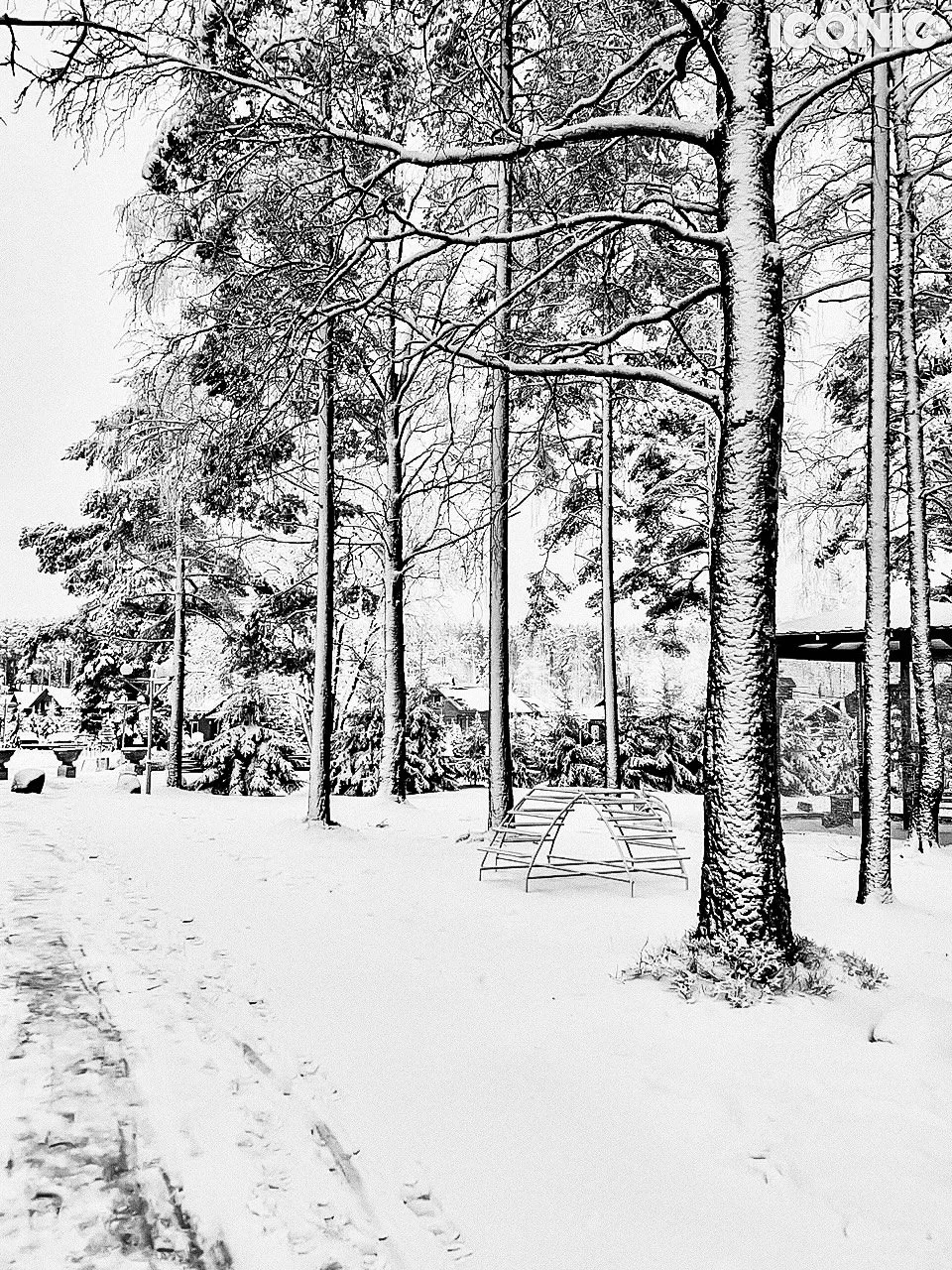 PHOTO BY
Irina Lomova
.