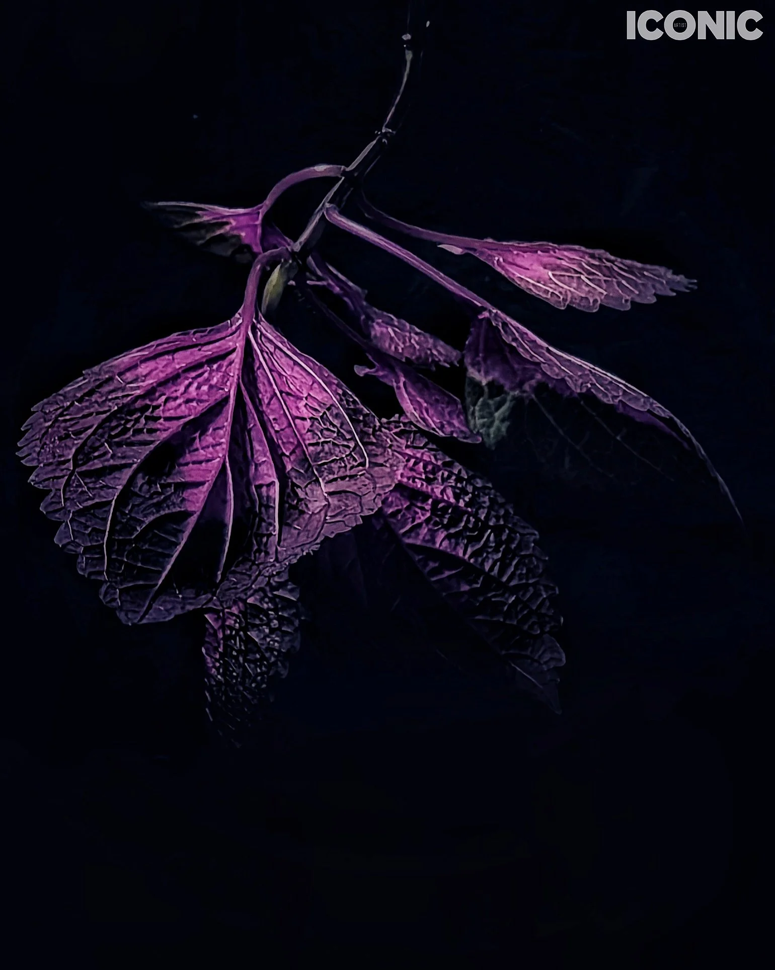 PHOTO BY
Aleksandra Kropivka
.