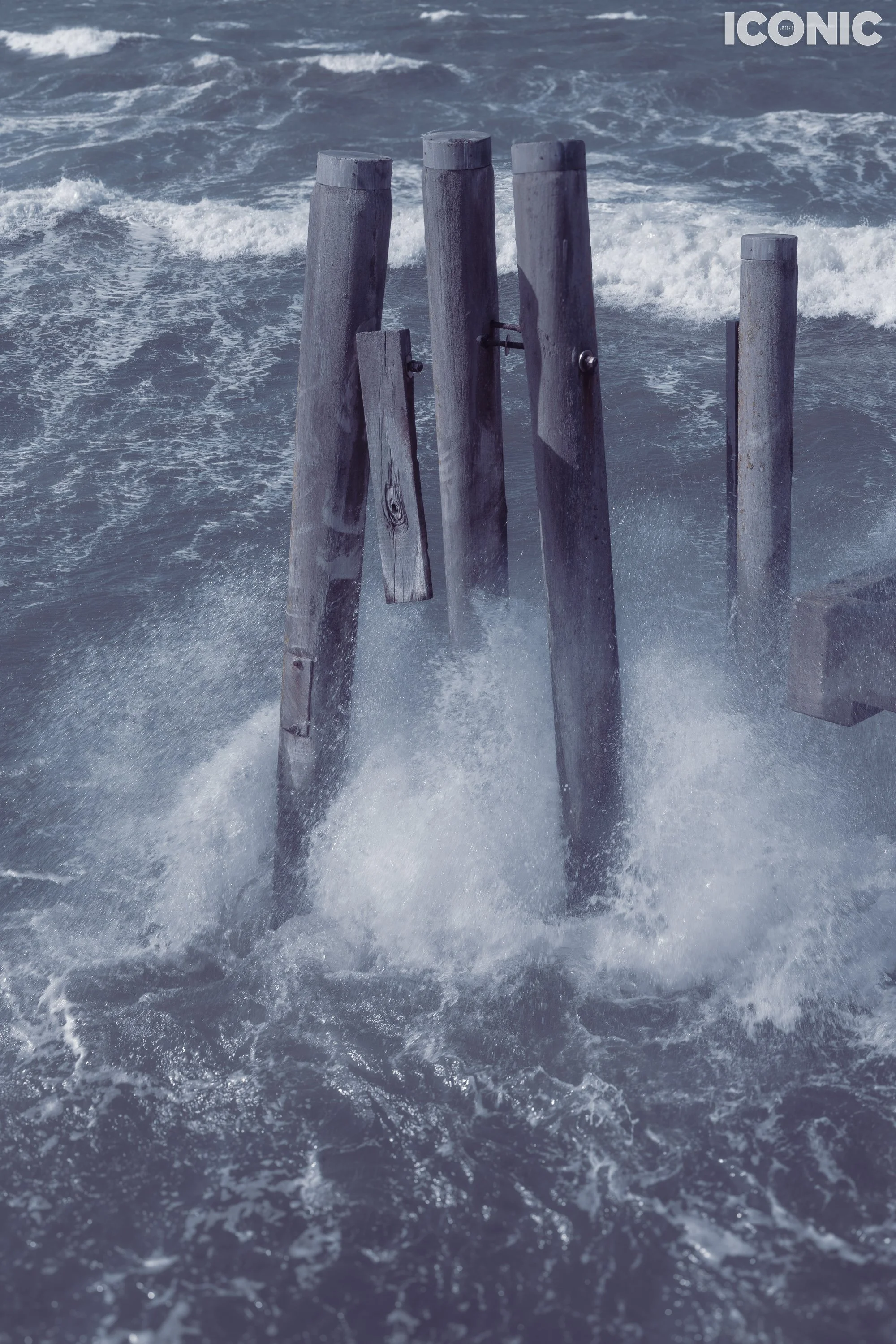 PHOTO BY
Olga Tarabukina
.