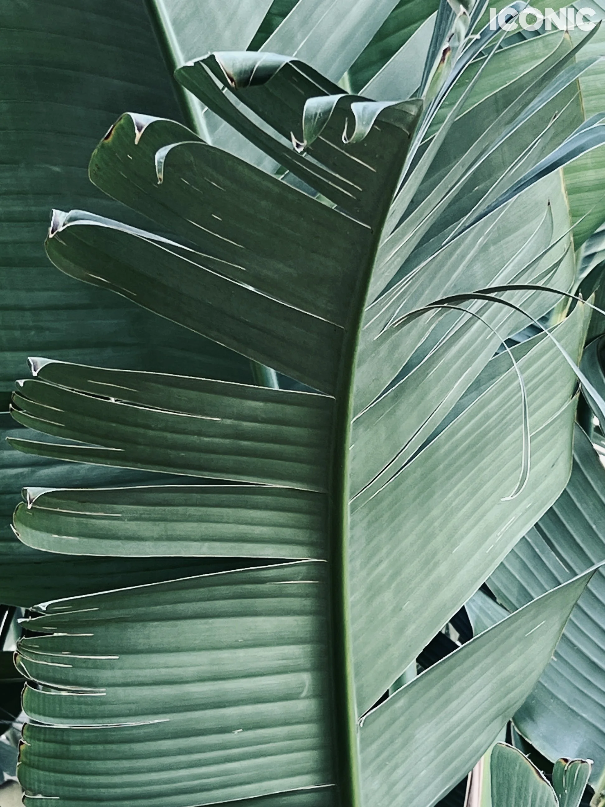 PHOTO BY
Yulia Doronina
.