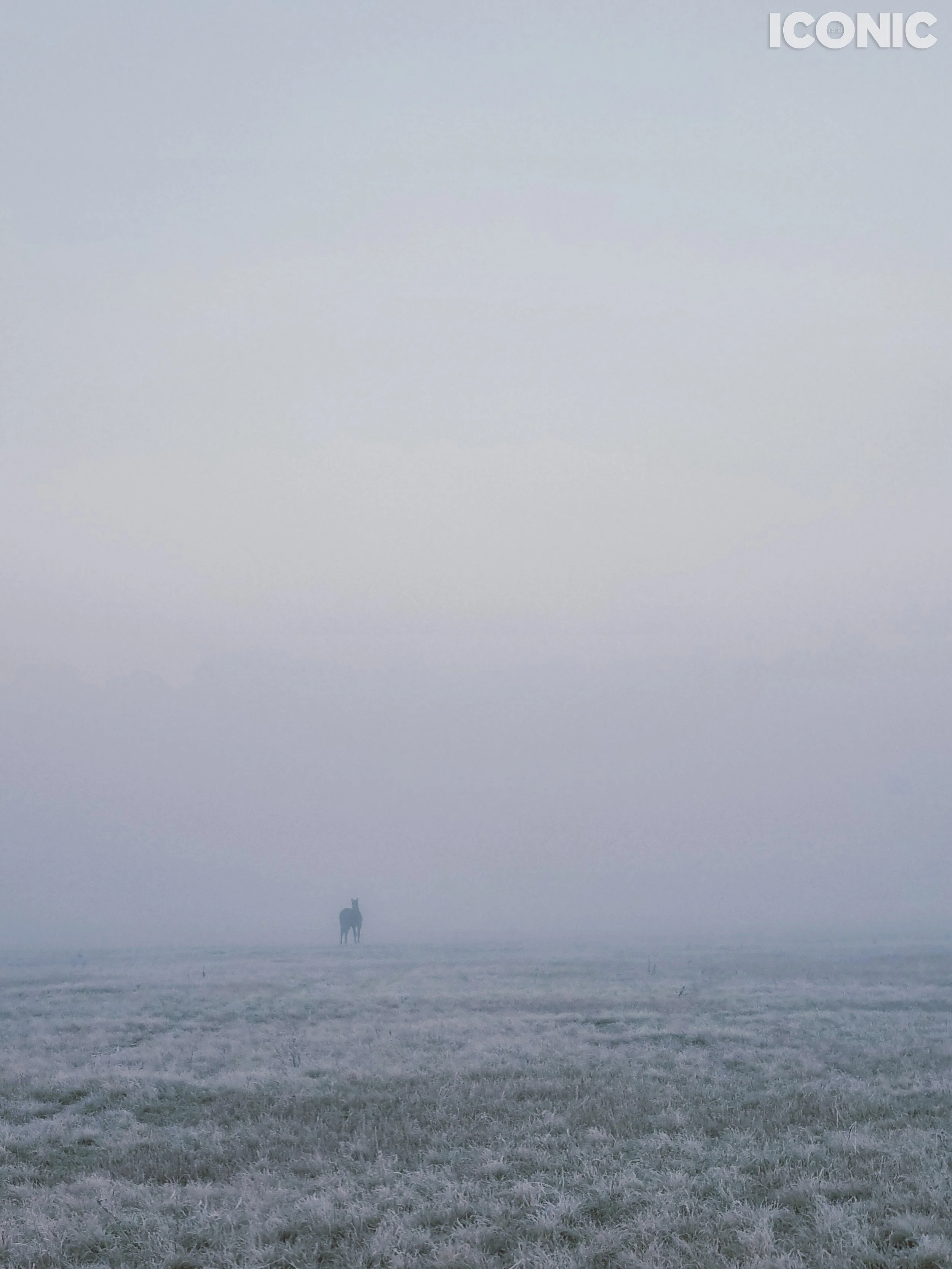 PHOTO BY
Irina Gerlin
.