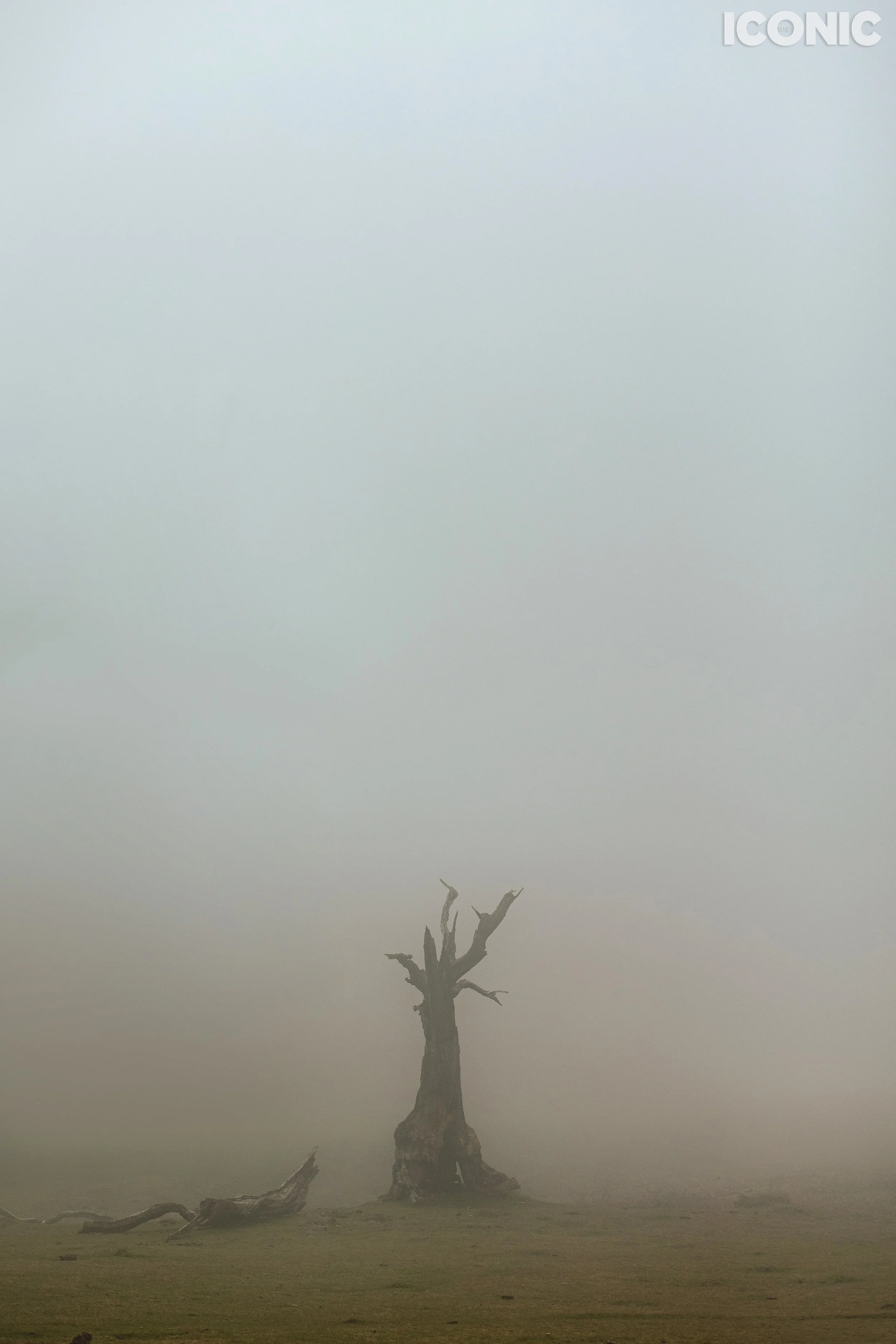 PHOTO BY
Tatiana Bigun
.