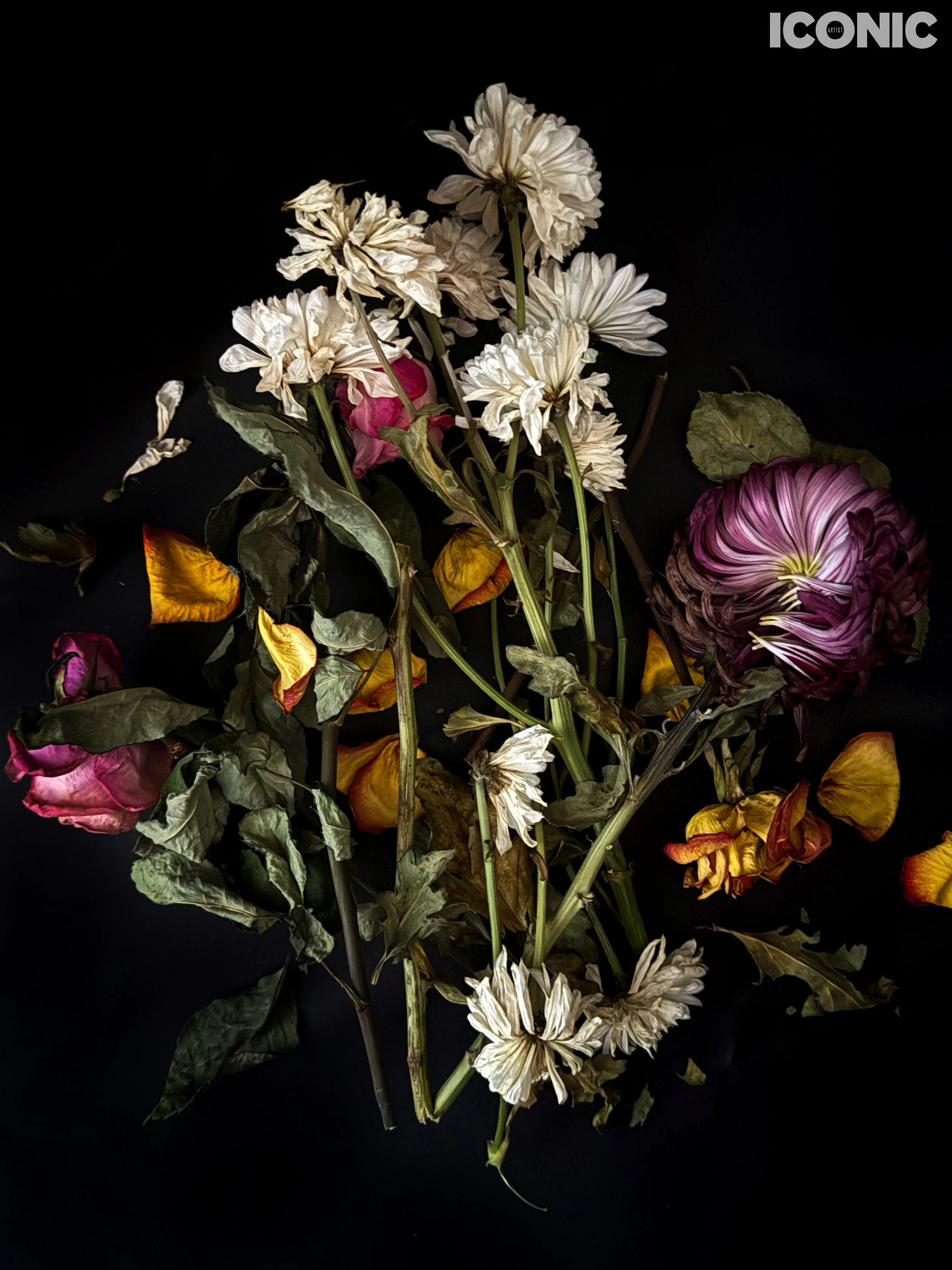 PHOTO BY
Nadezhda Yablokova
.