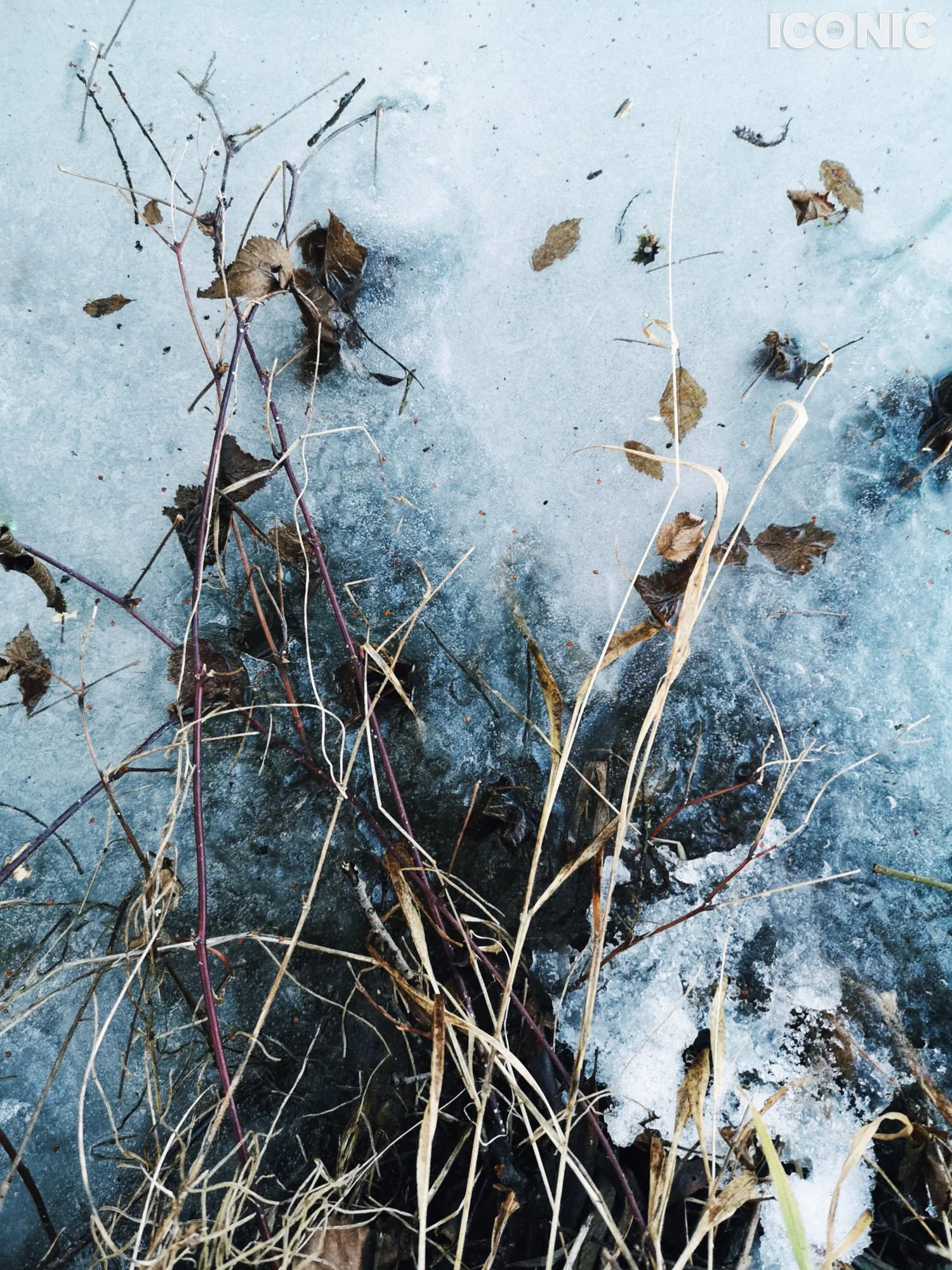 PHOTO BY
Lera Zilbershtein
.