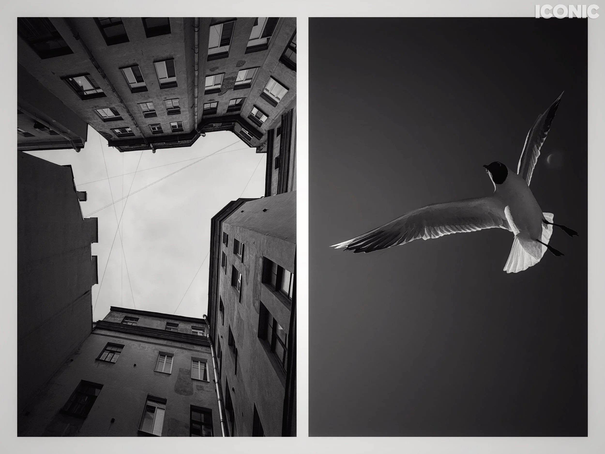 PHOTO BY
 Inna Sknara
.