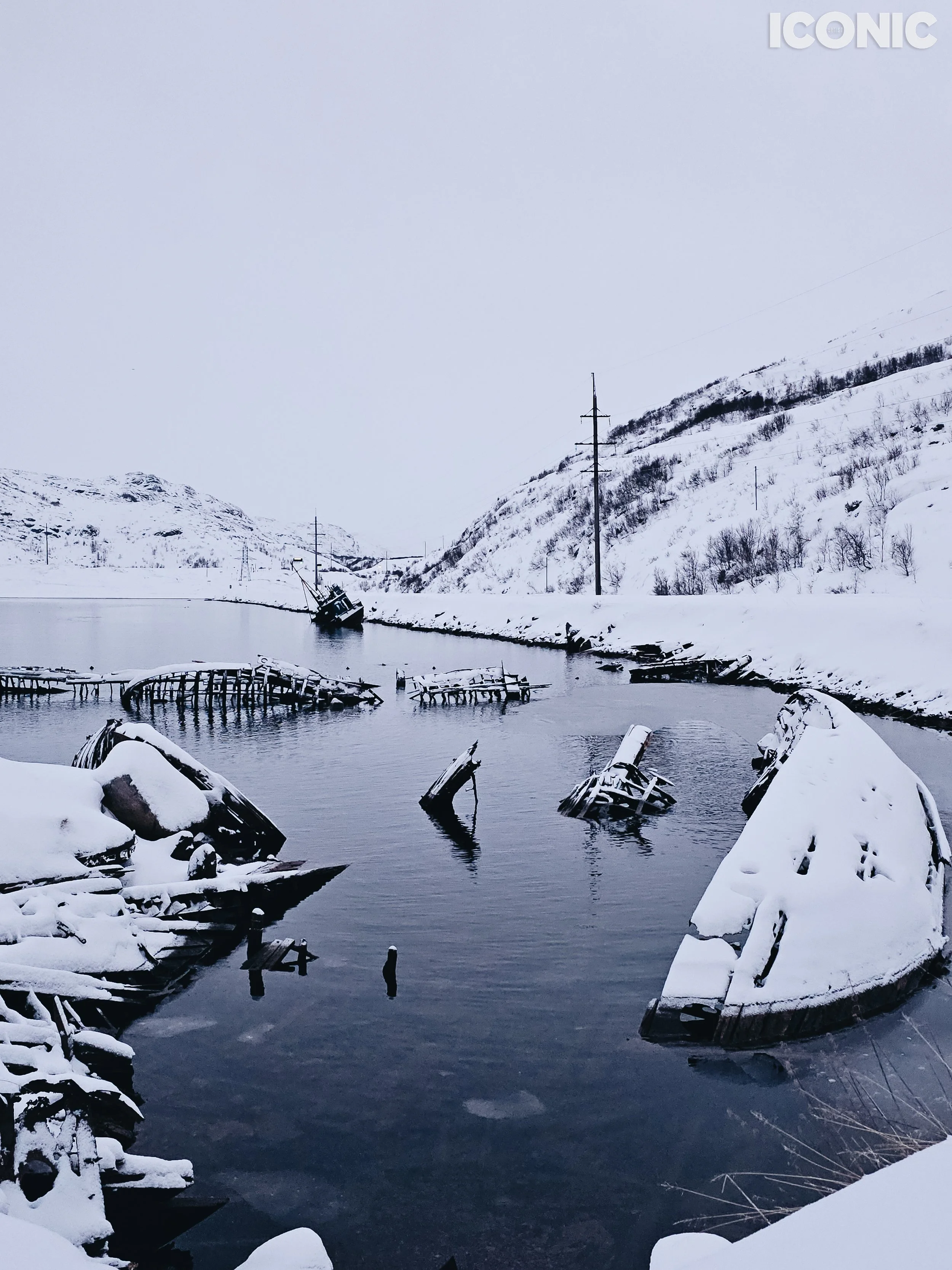 PHOTO BY
Olga Shishuk
.