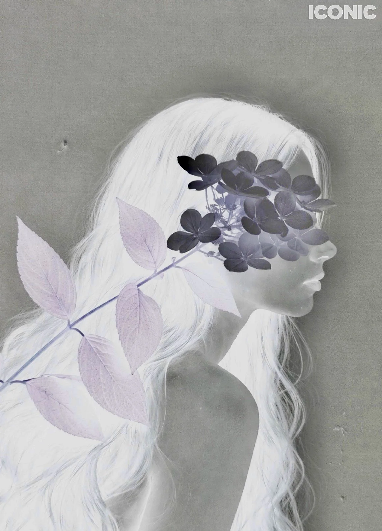 PHOTO BY
Olha Novitskaya
.