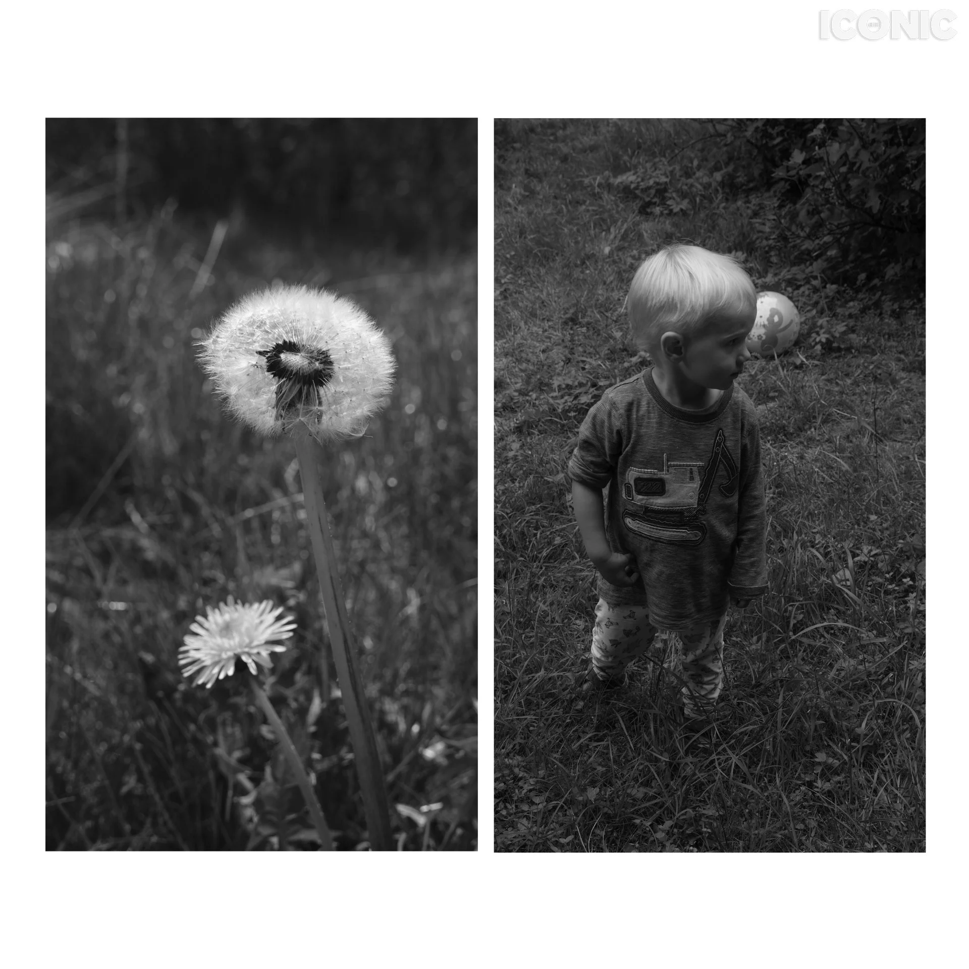 PHOTO BY
Ingrida Urbonavičienė
.