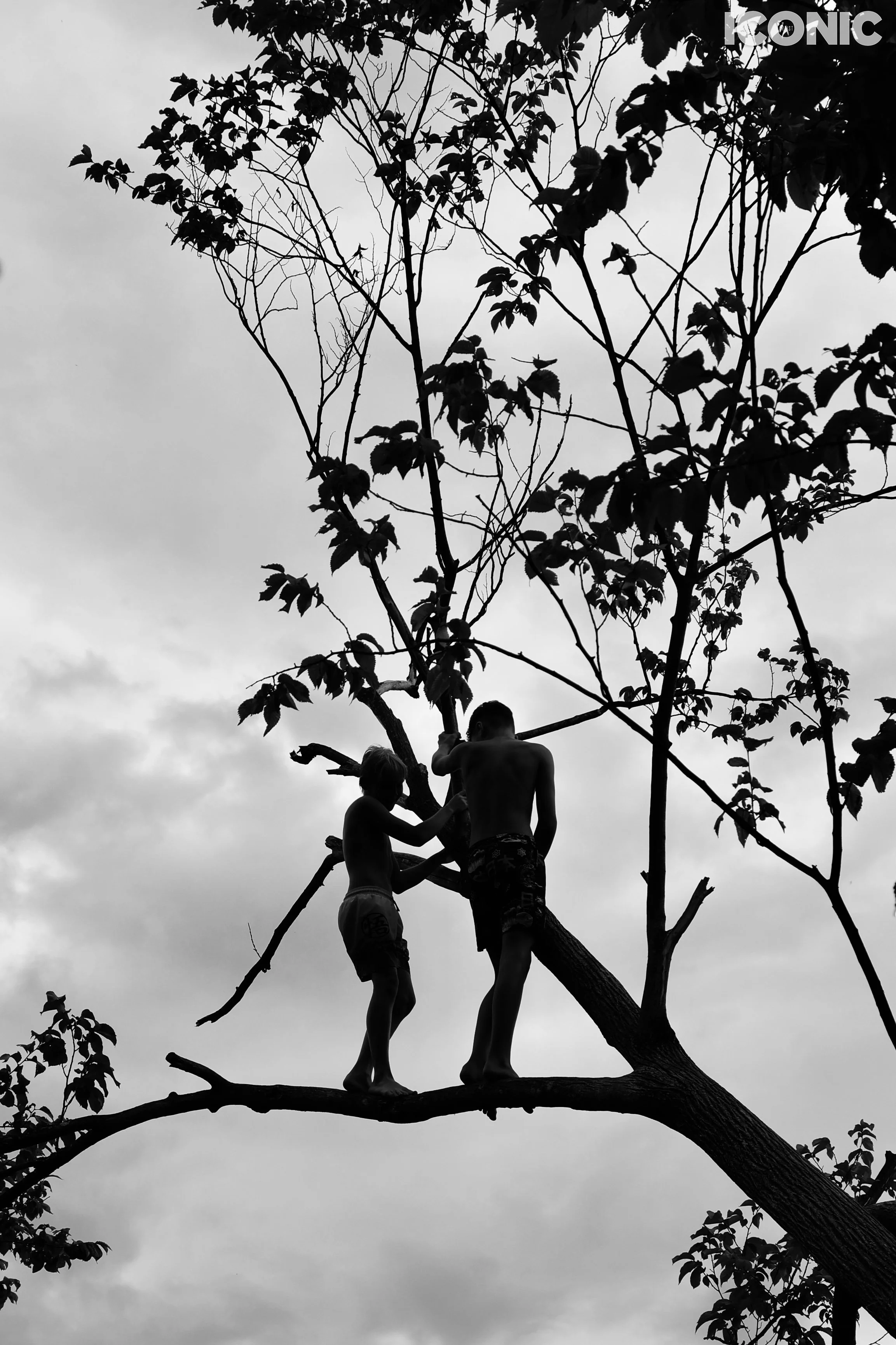 PHOTO BY
Yulia Doronina
.