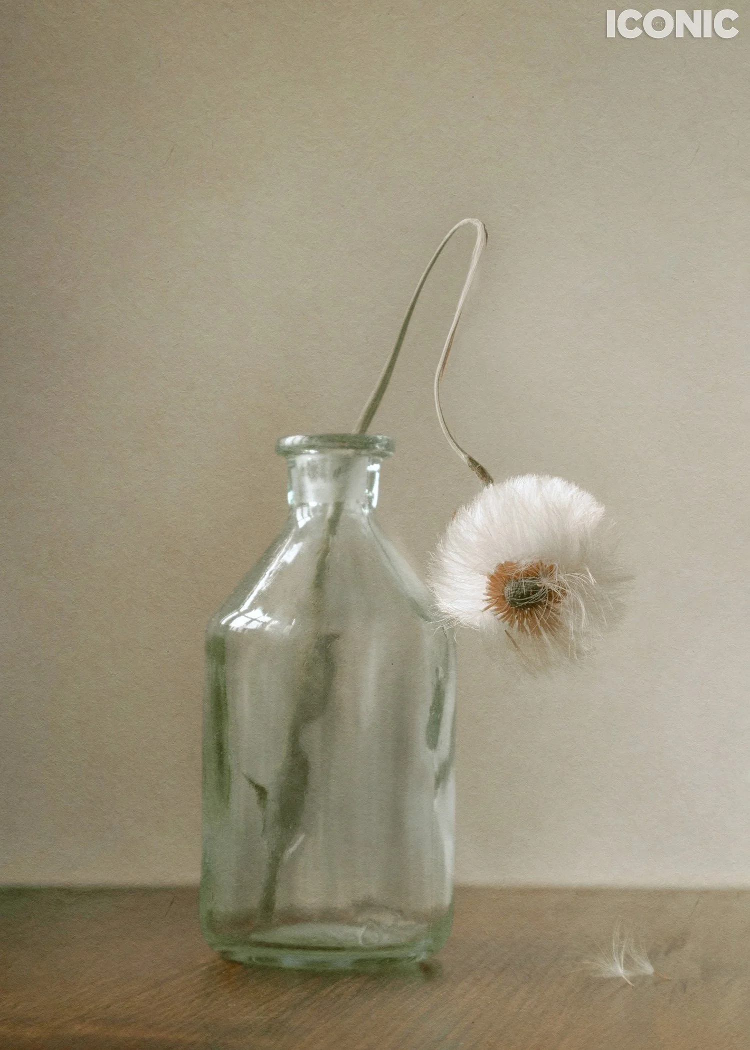 PHOTO BY
Alla Davydowa
_