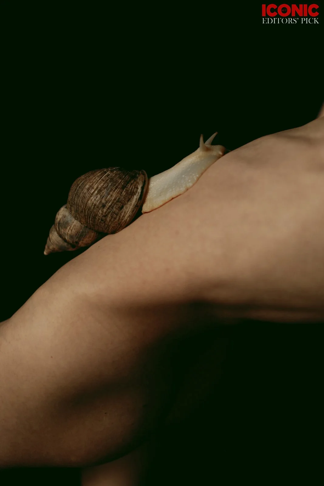 PHOTO BY
Anna Spector
.