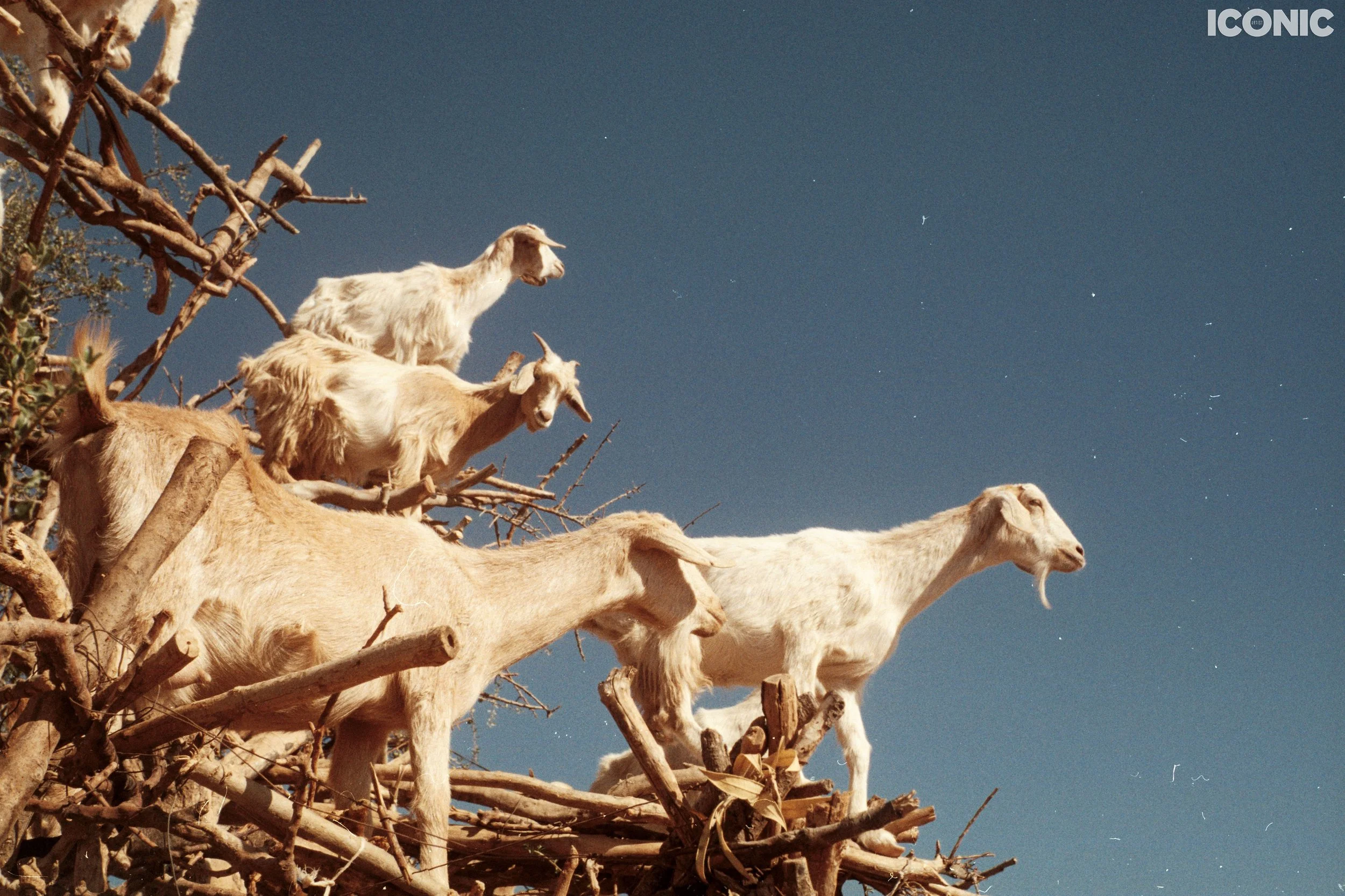 PHOTO BY
Natali Horvat
.