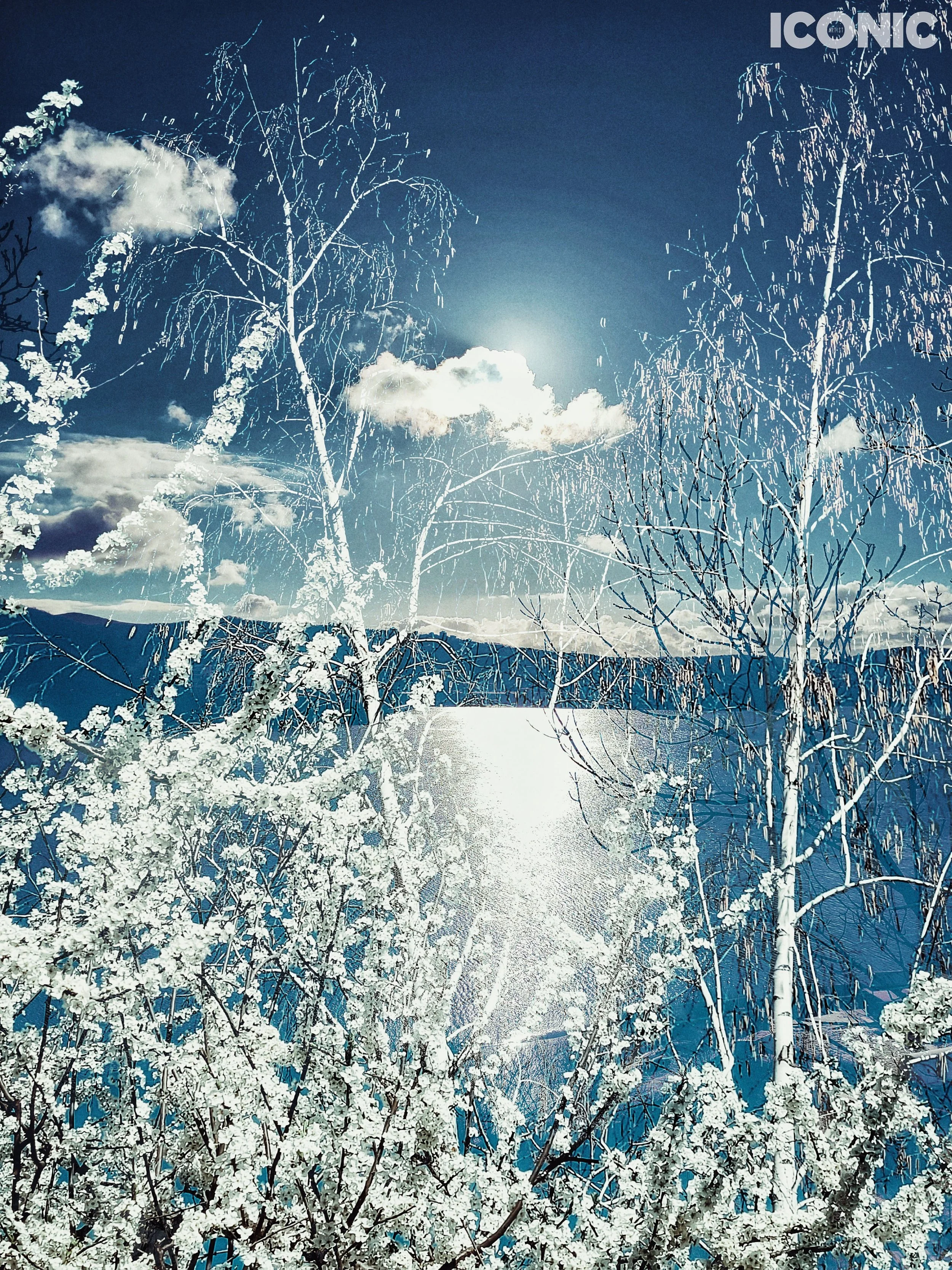 PHOTO BY
Polina C
_