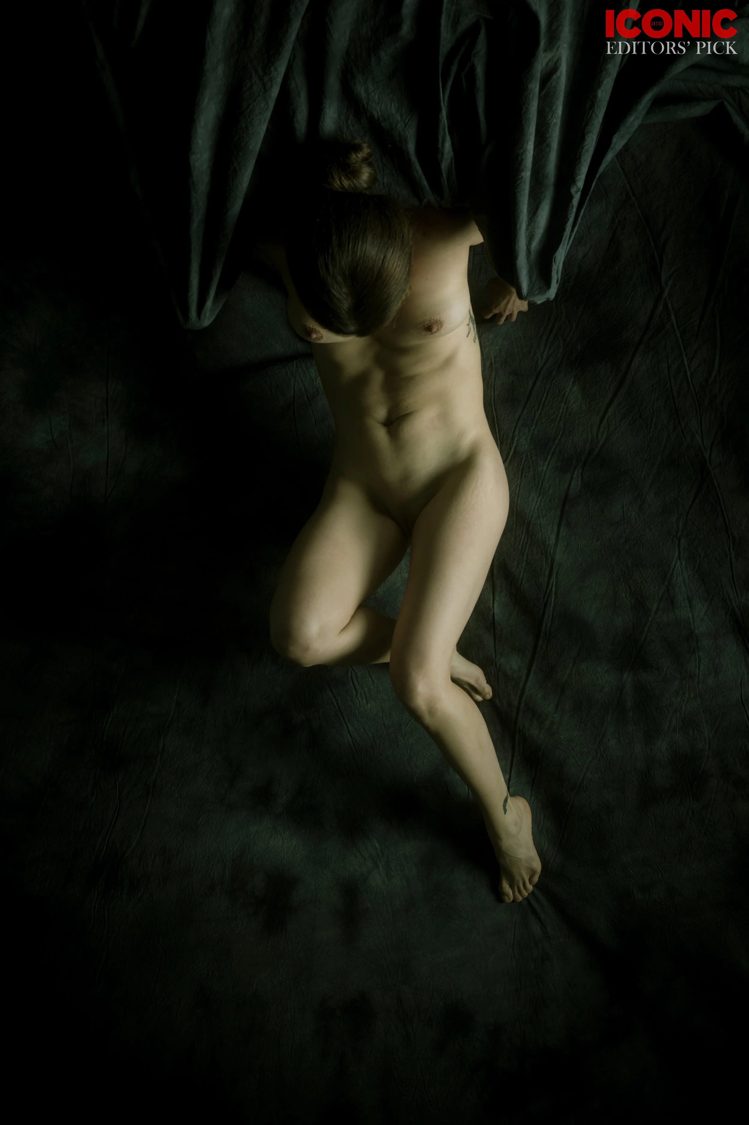 PHOTO BY
Theo Decker
_