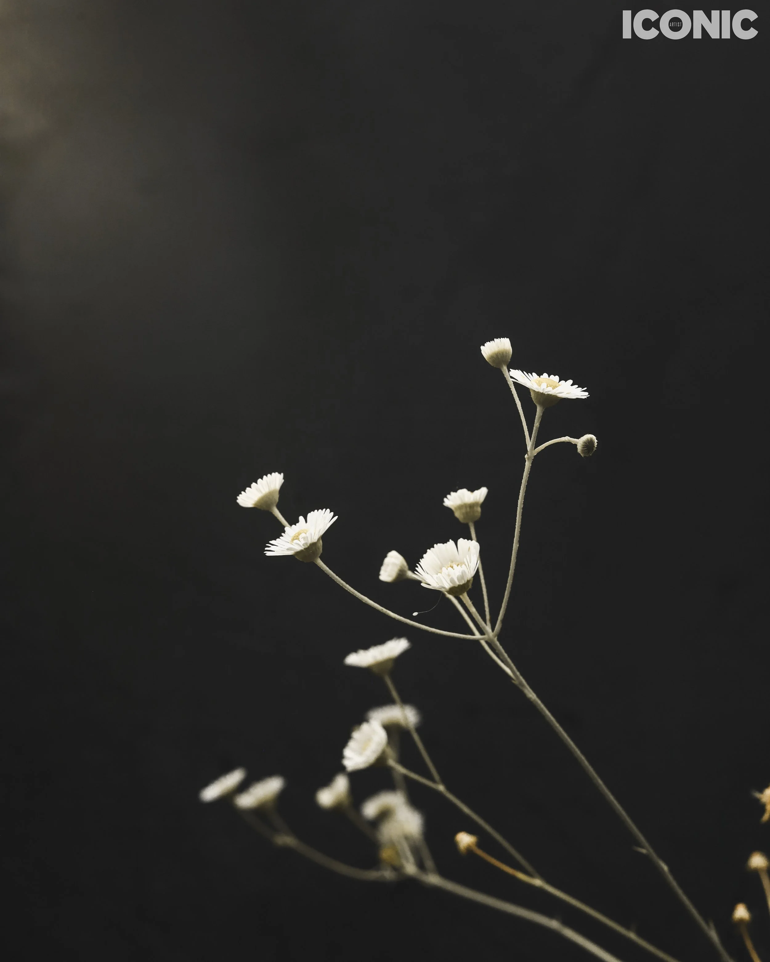 PHOTO BY
Tanya Yerko
.