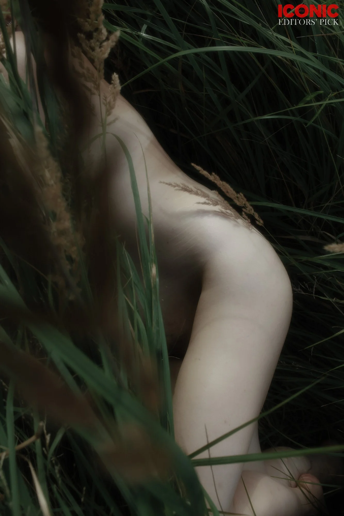 PHOTO BY
Anna Spector
.