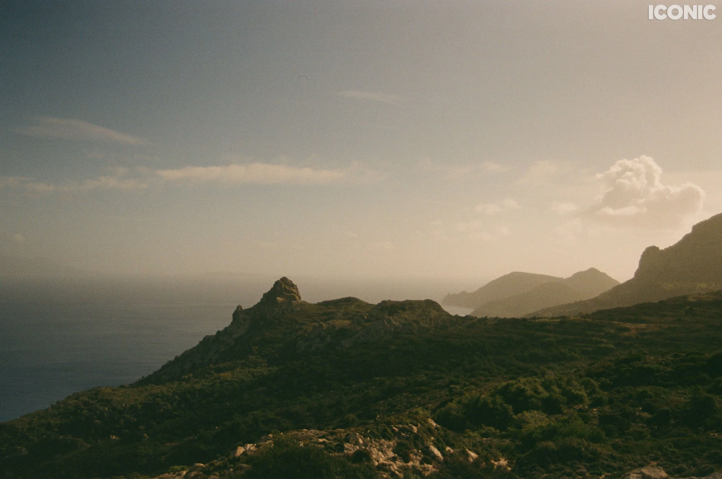 PHOTO BY
Lyusiya Denisova
.