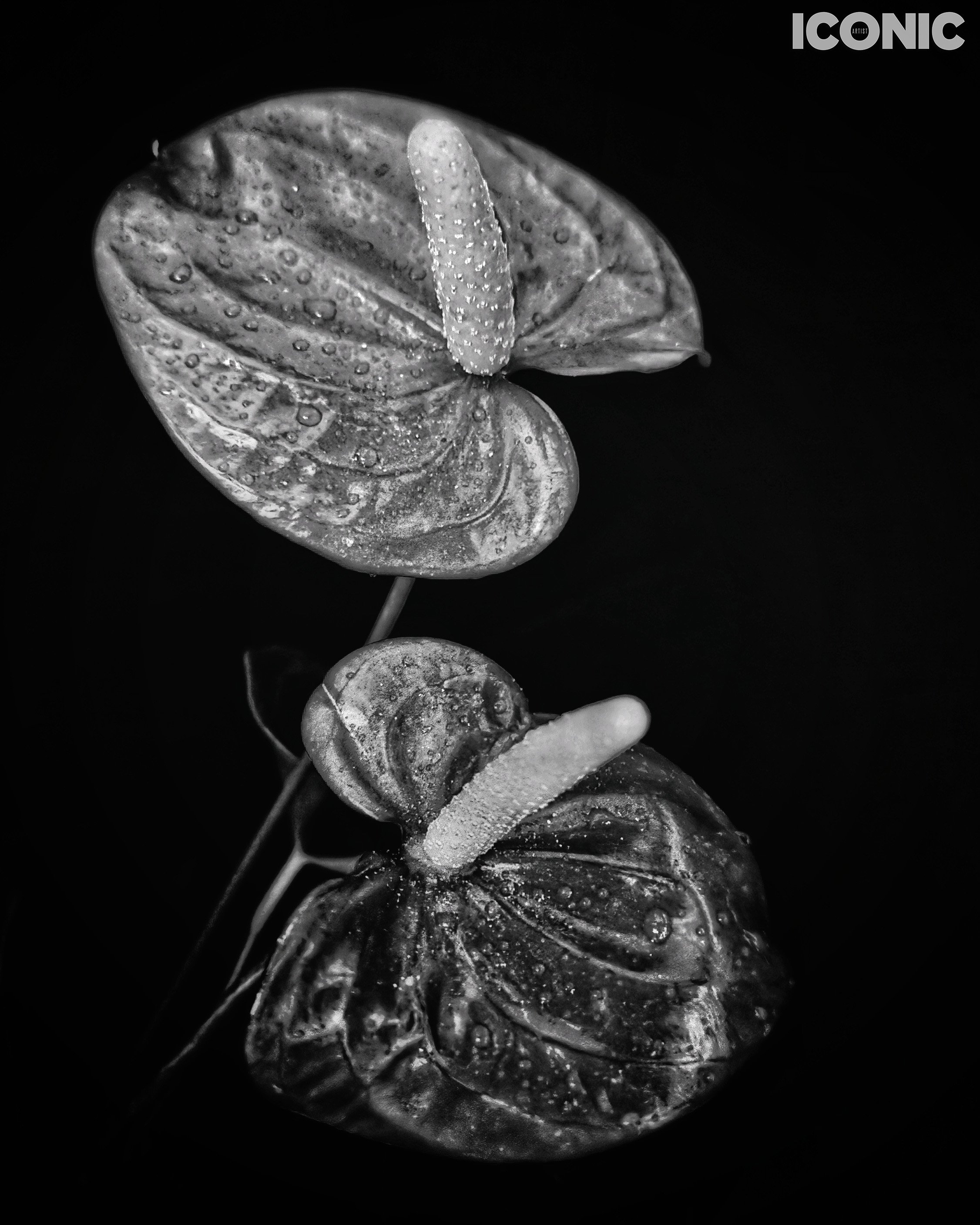 PHOTO BY
Aleksandra Kropivka
.