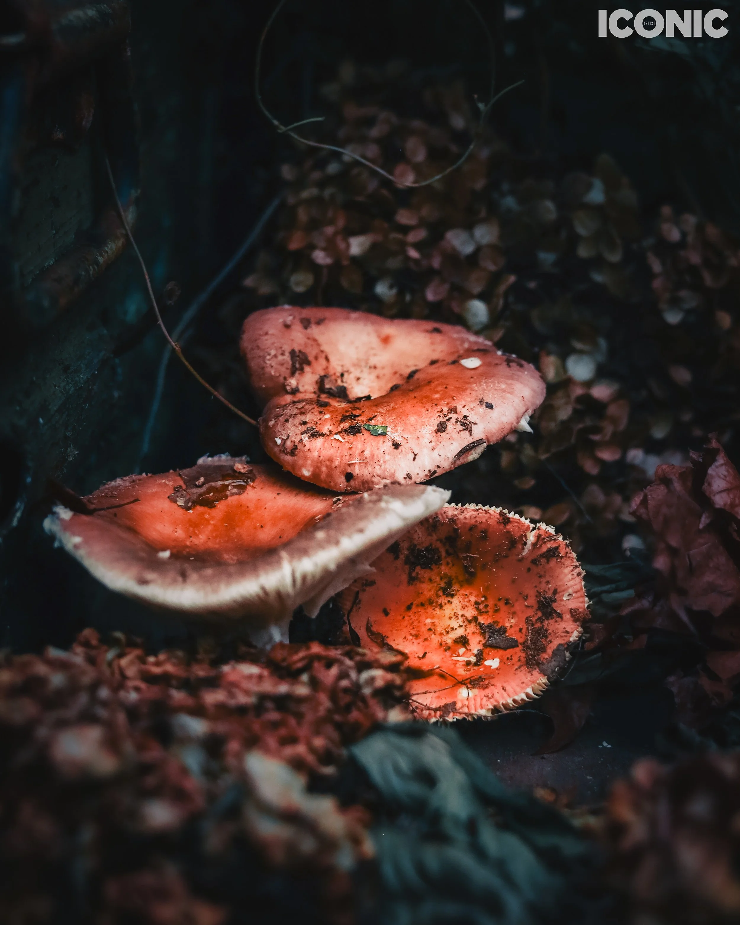 PHOTO BY
Tanya Yerko
.