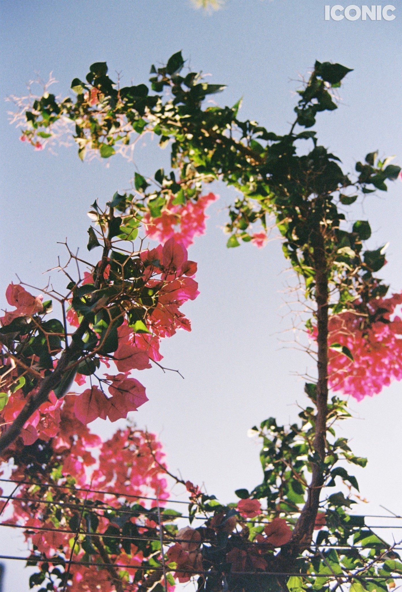 PHOTO BY
Lyusiya Denisova
.