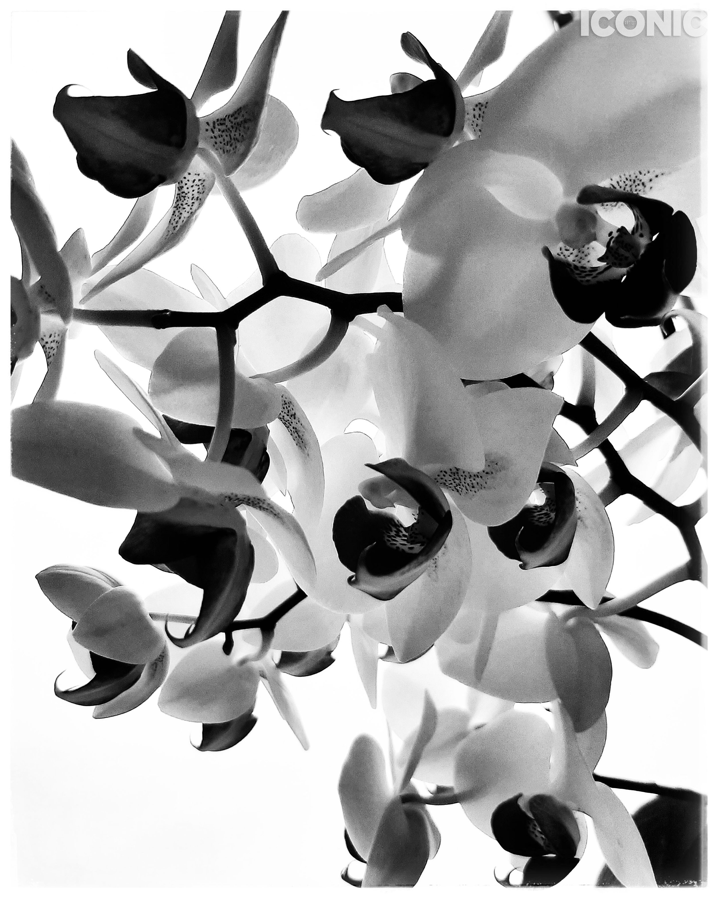 PHOTO BY
Oksana Borisevich
_