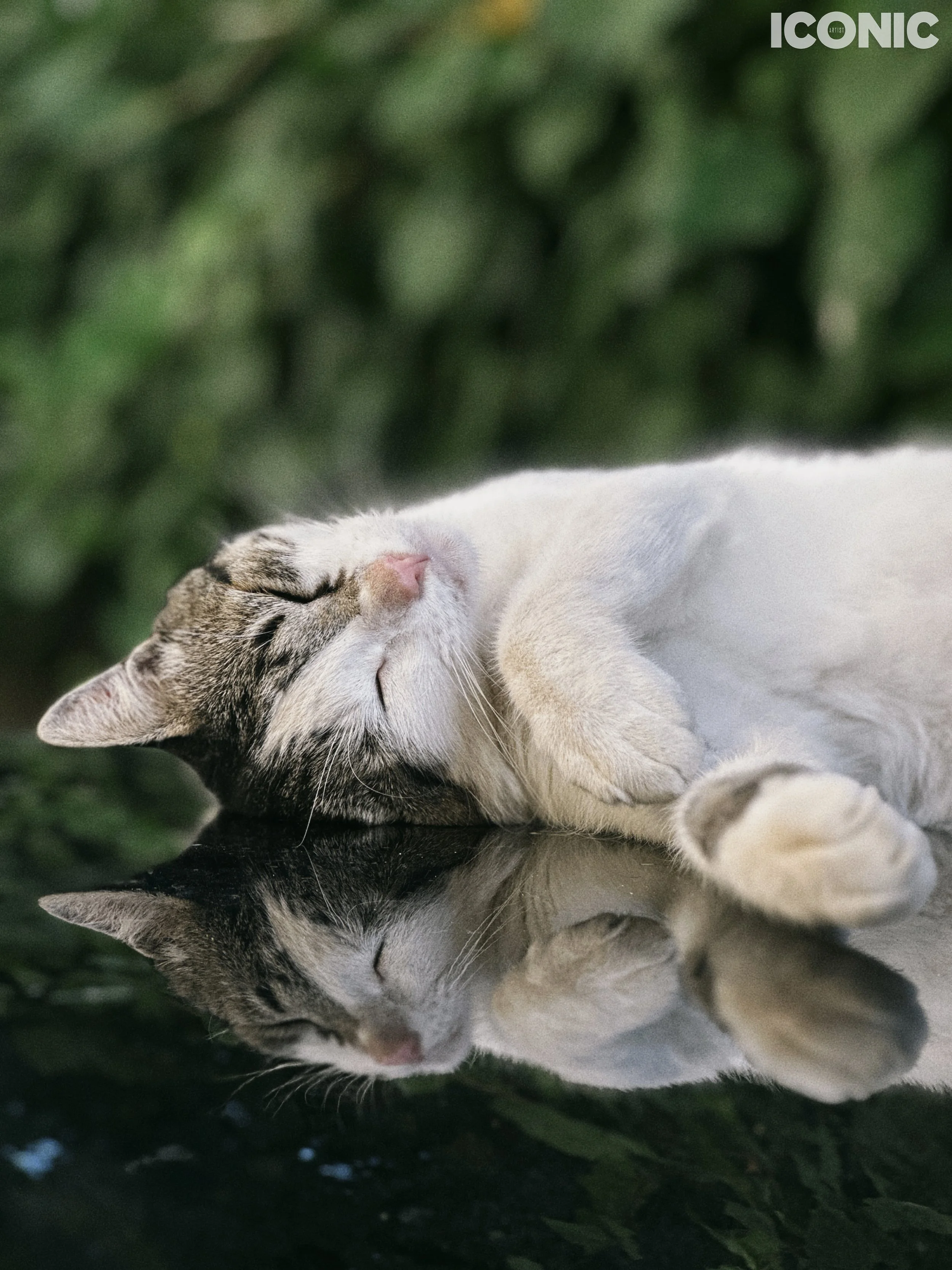 PHOTO BY
Evgeniia Razmakhnina
.