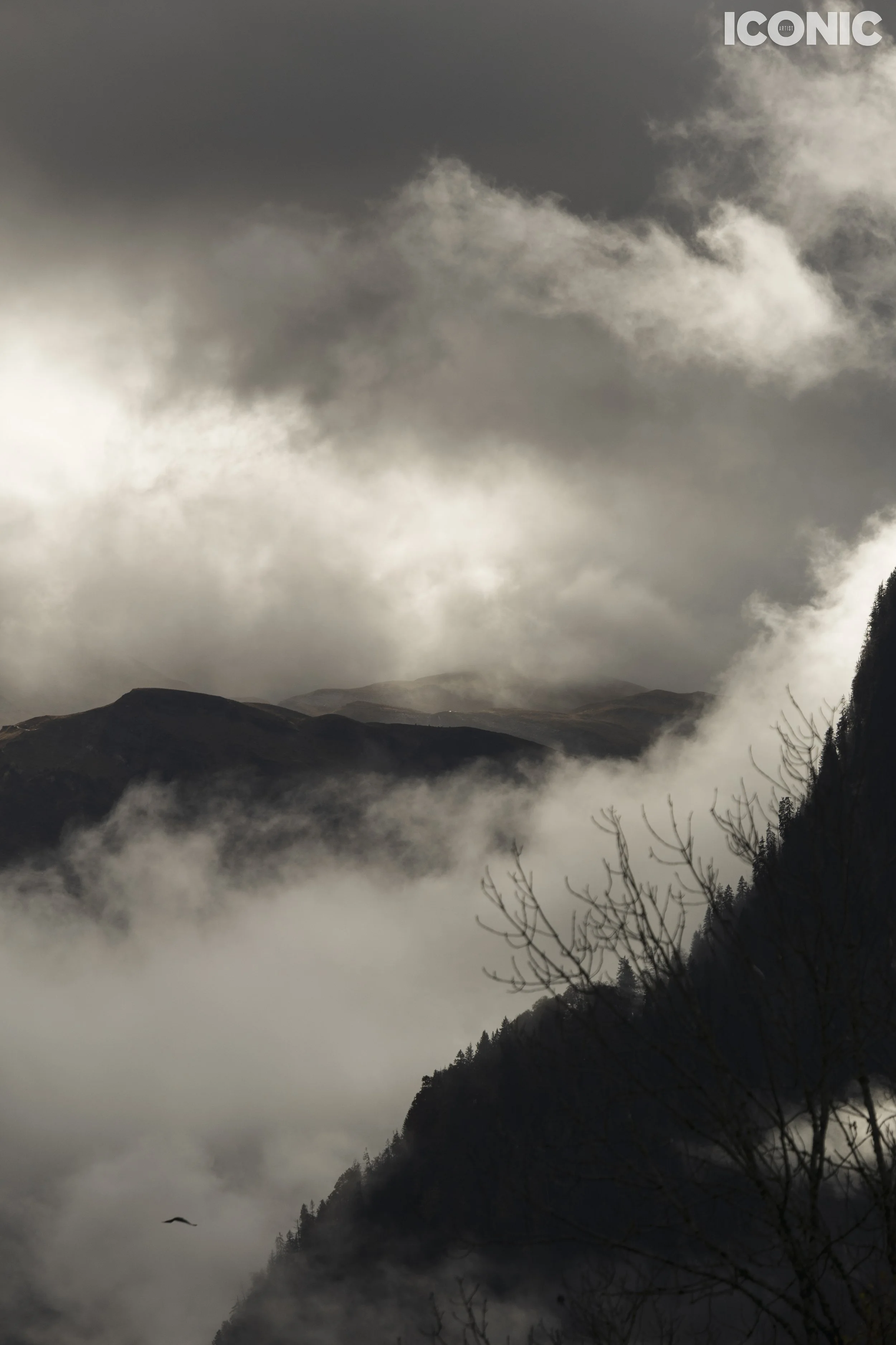 PHOTO BY
Olga Reptik
.