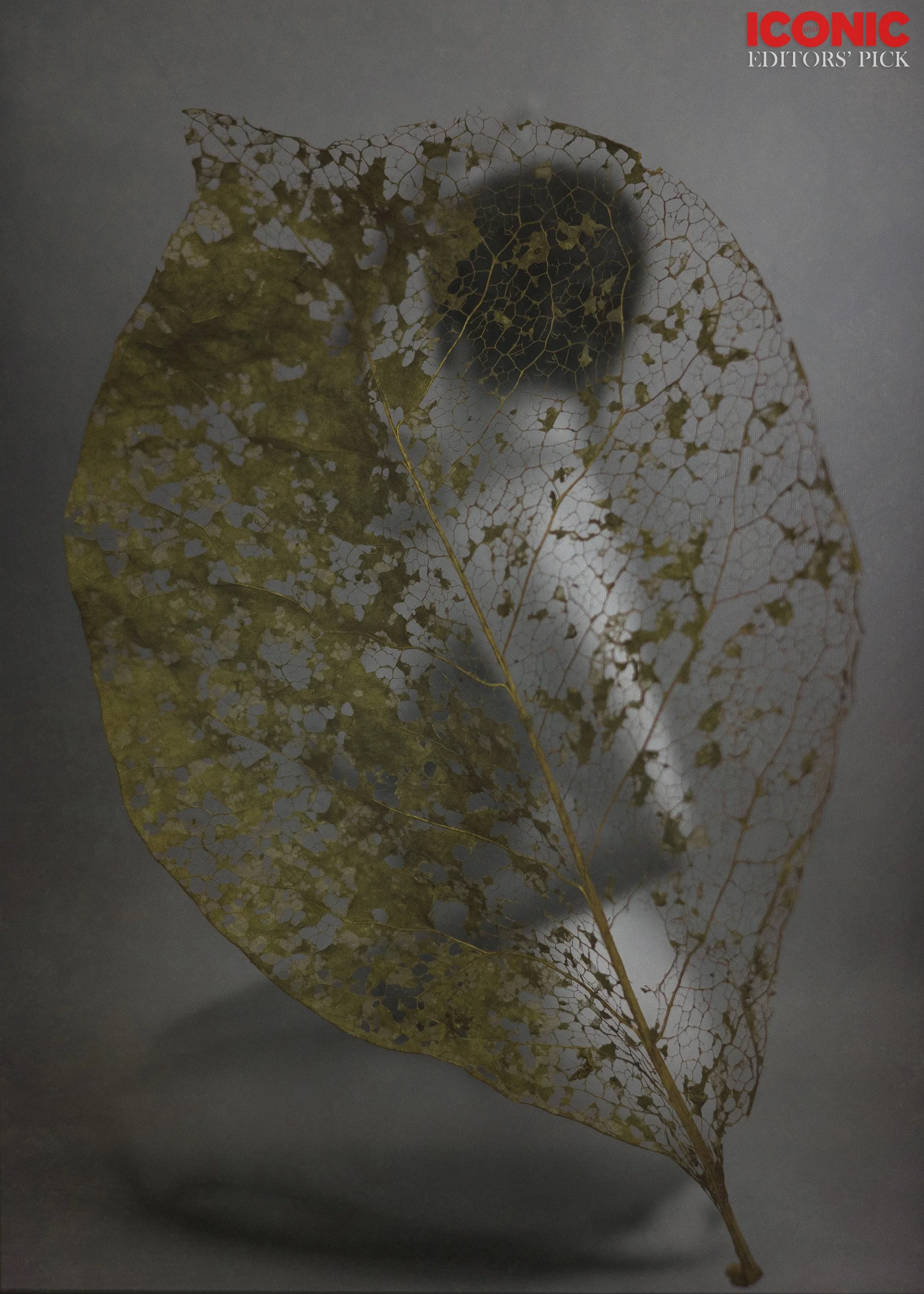 PHOTO BY
Elsie Hagen
.