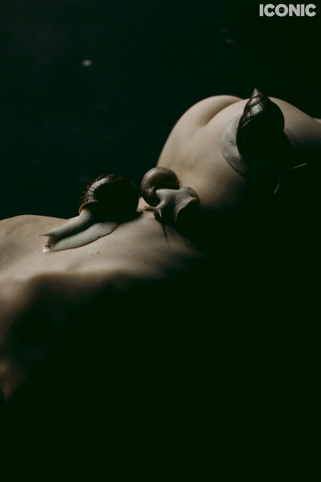 PHOTO BY
Anna Spector
.