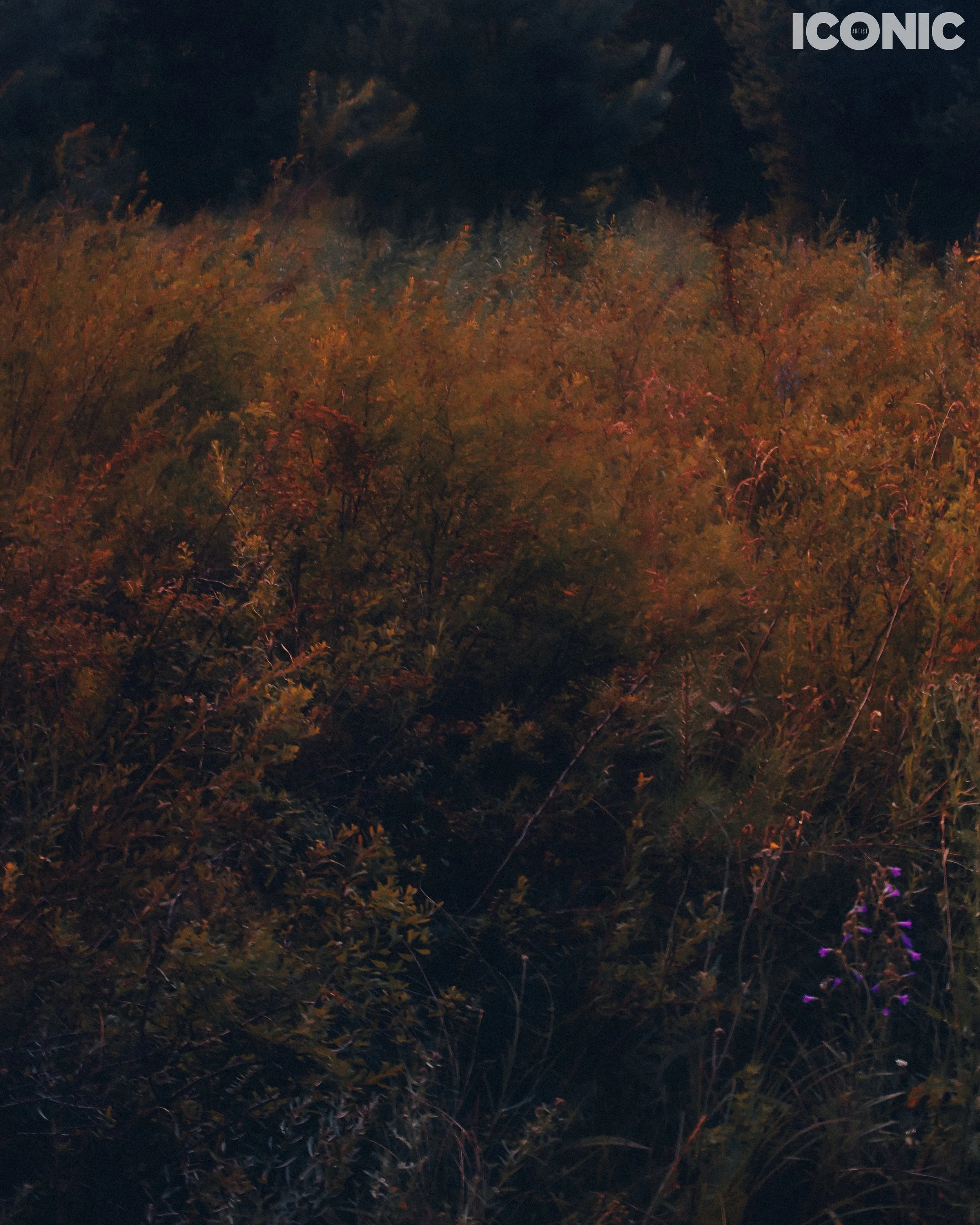 PHOTO BY
Zarina Jassybayeva
.