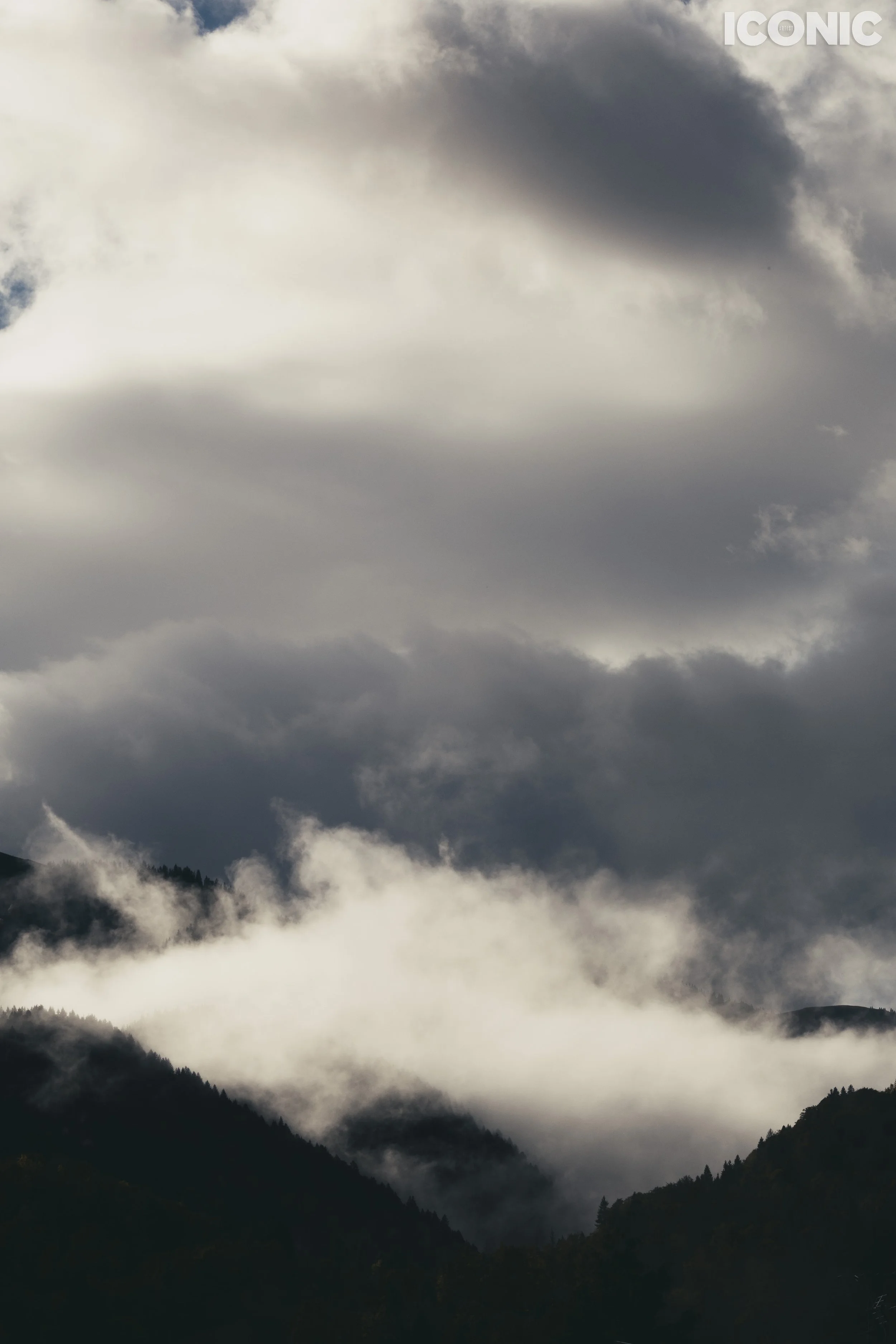 PHOTO BY
Olga Reptik
.