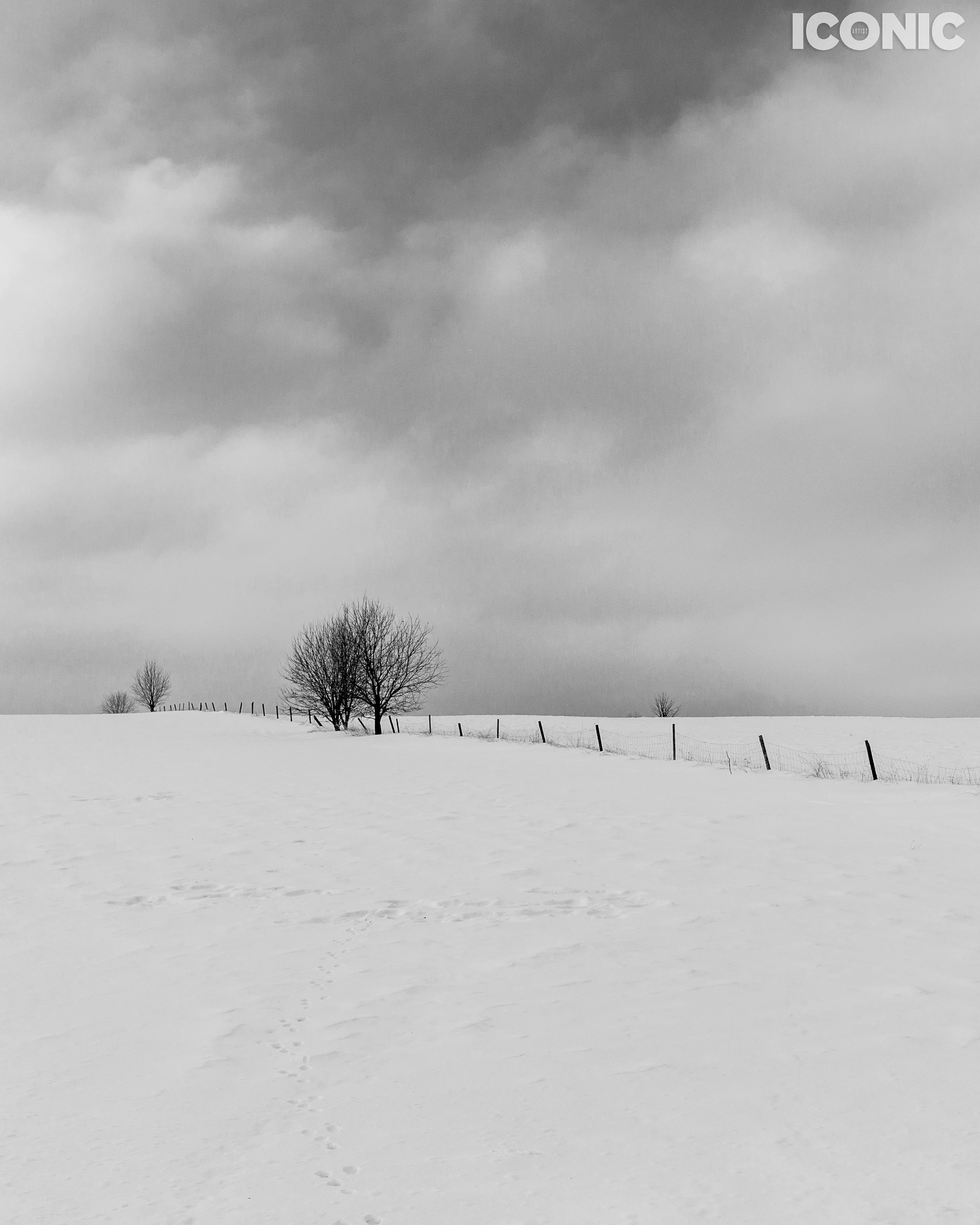 PHOTO BY
Igor Vatral
.